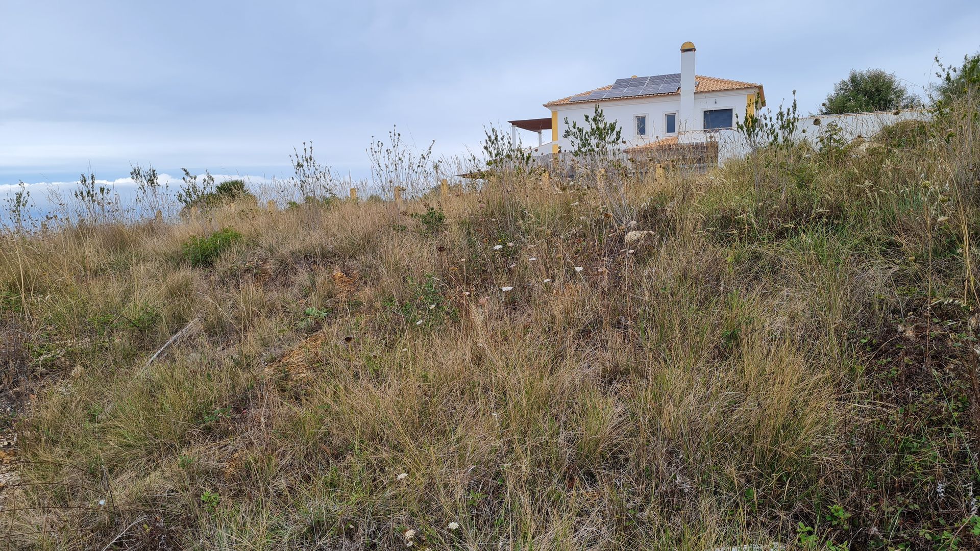 Hus i Sao Lourenco, Rua Rosa dos Ventos 12003300