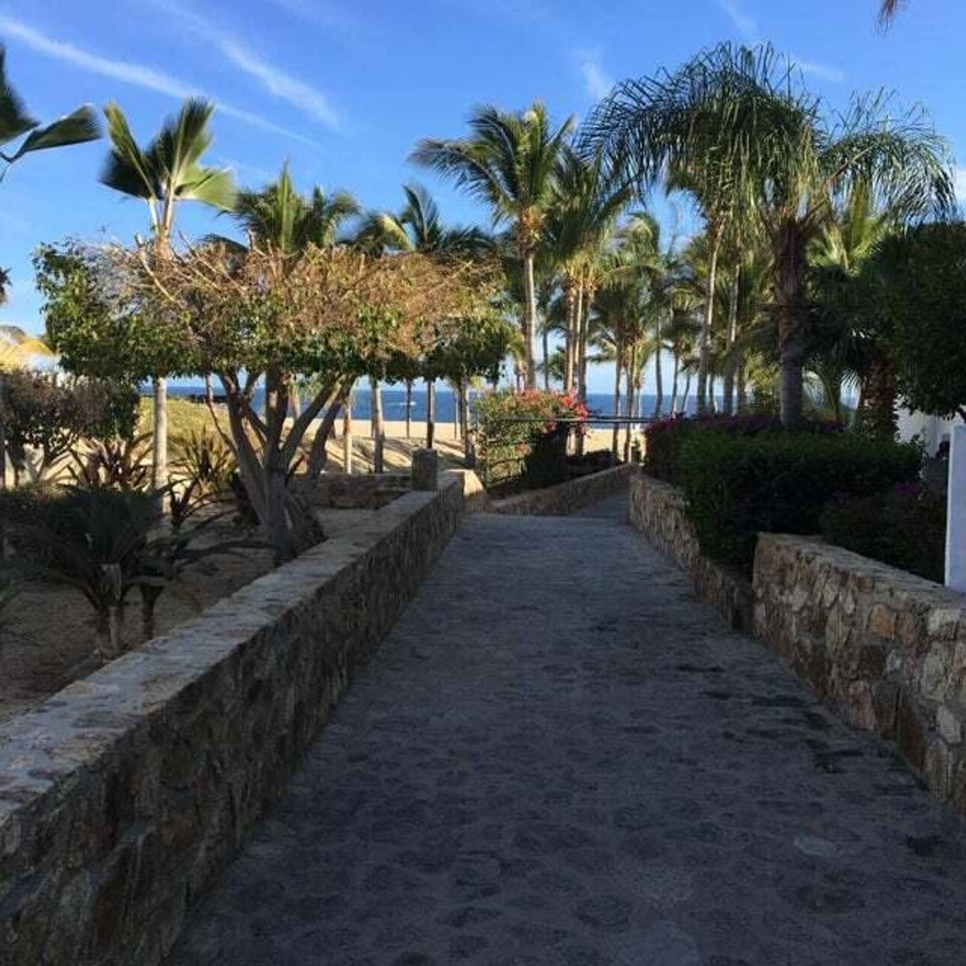 Tierra en Cabo San Lucas, Baja California Sur 12005862