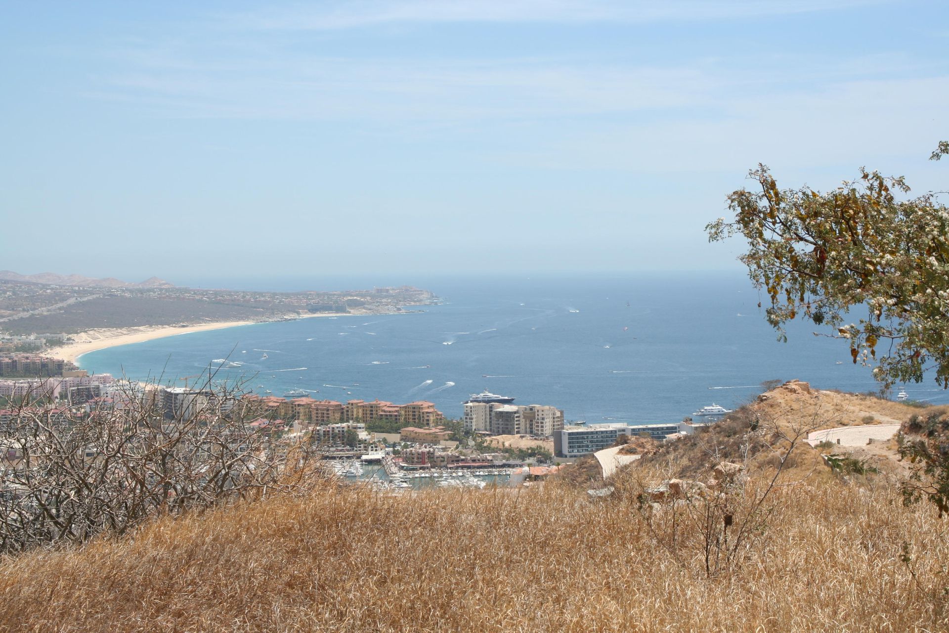 土地 在 Cabo San Lucas, Baja California Sur 12005870