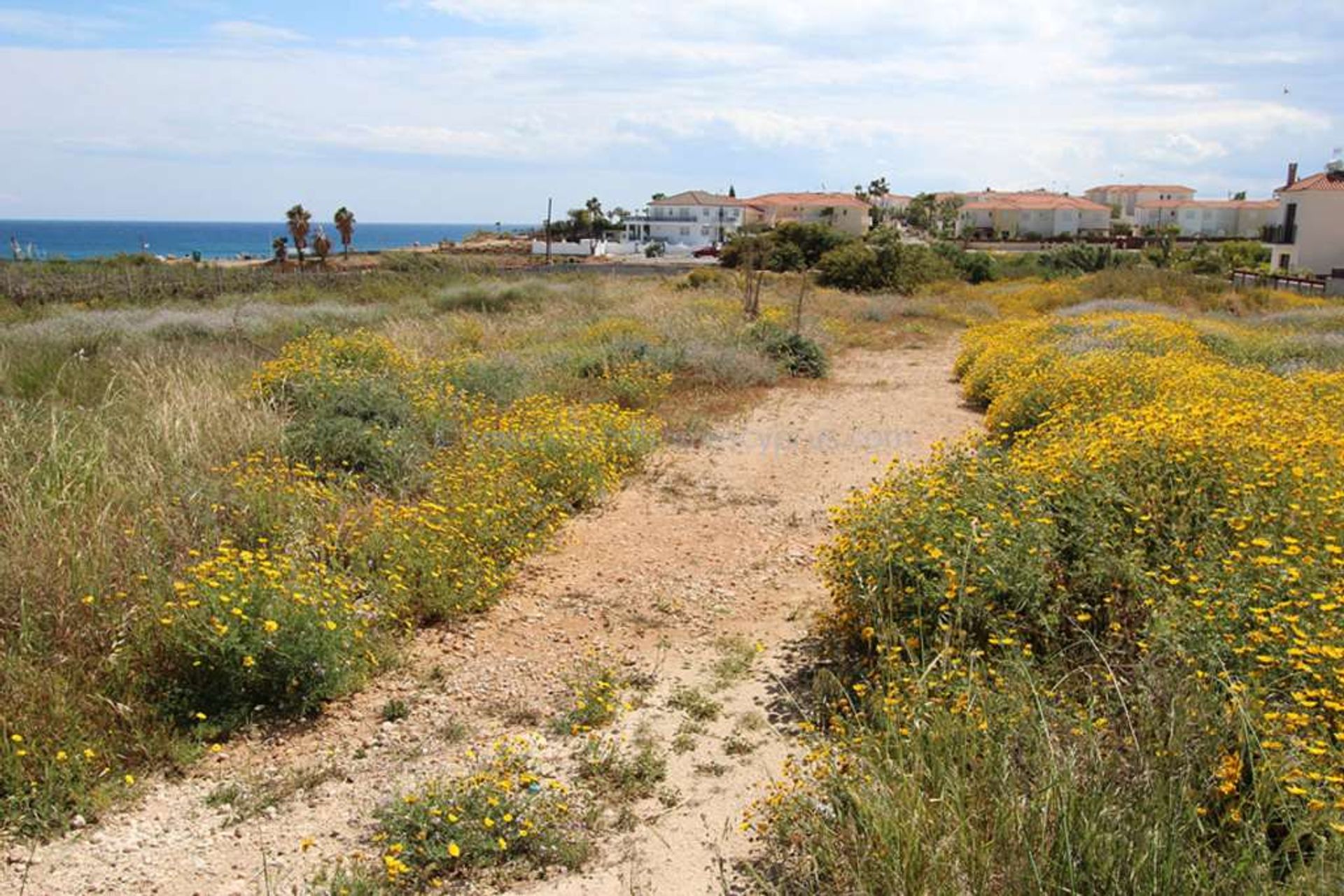 Tanah di Paralimni, Ammochostos 12005910