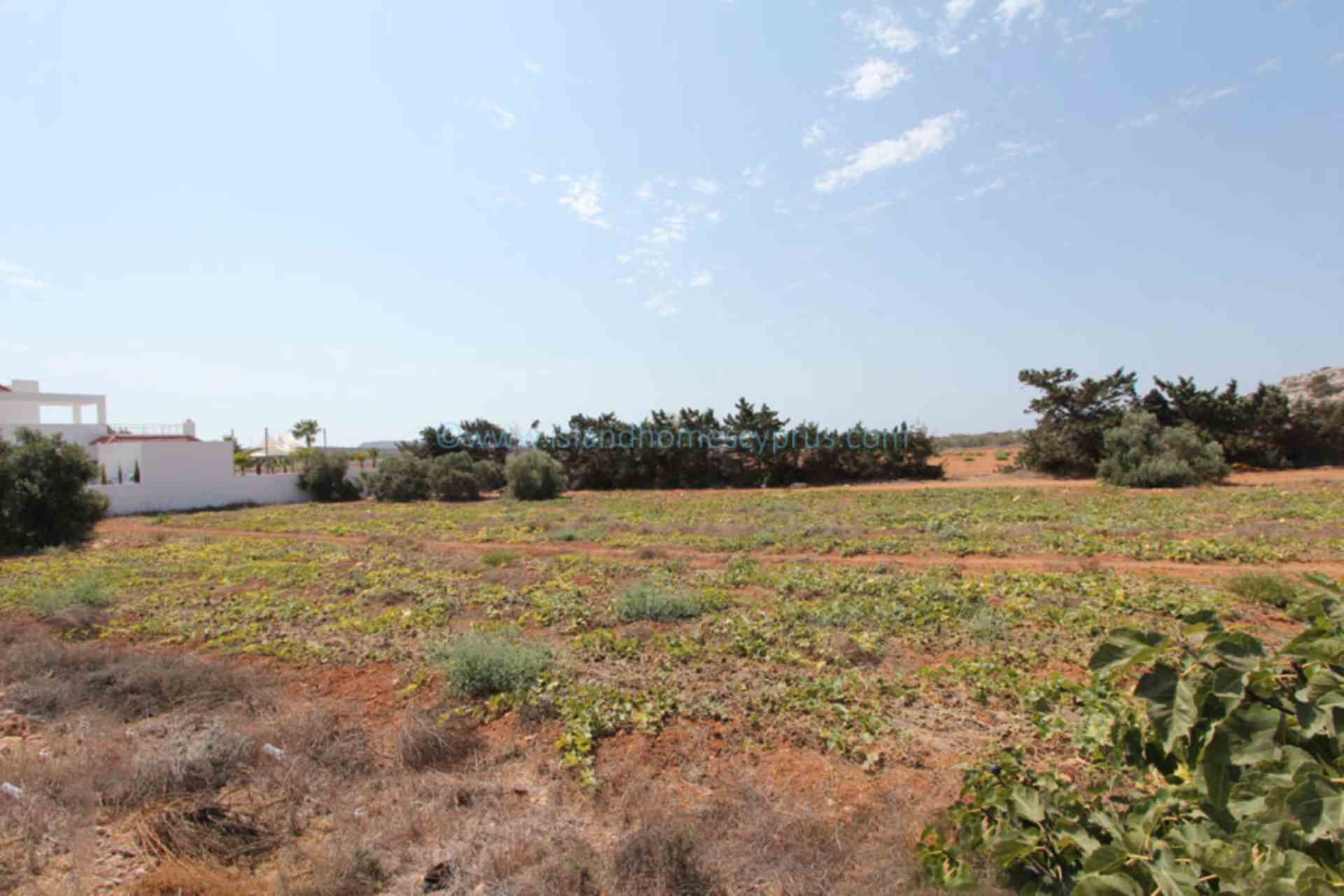 casa no Ayia Napa, Gazimağusa 12005944