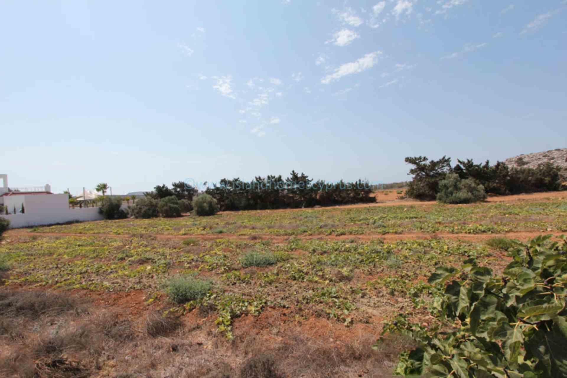 casa no Ayia Napa, Gazimağusa 12005944