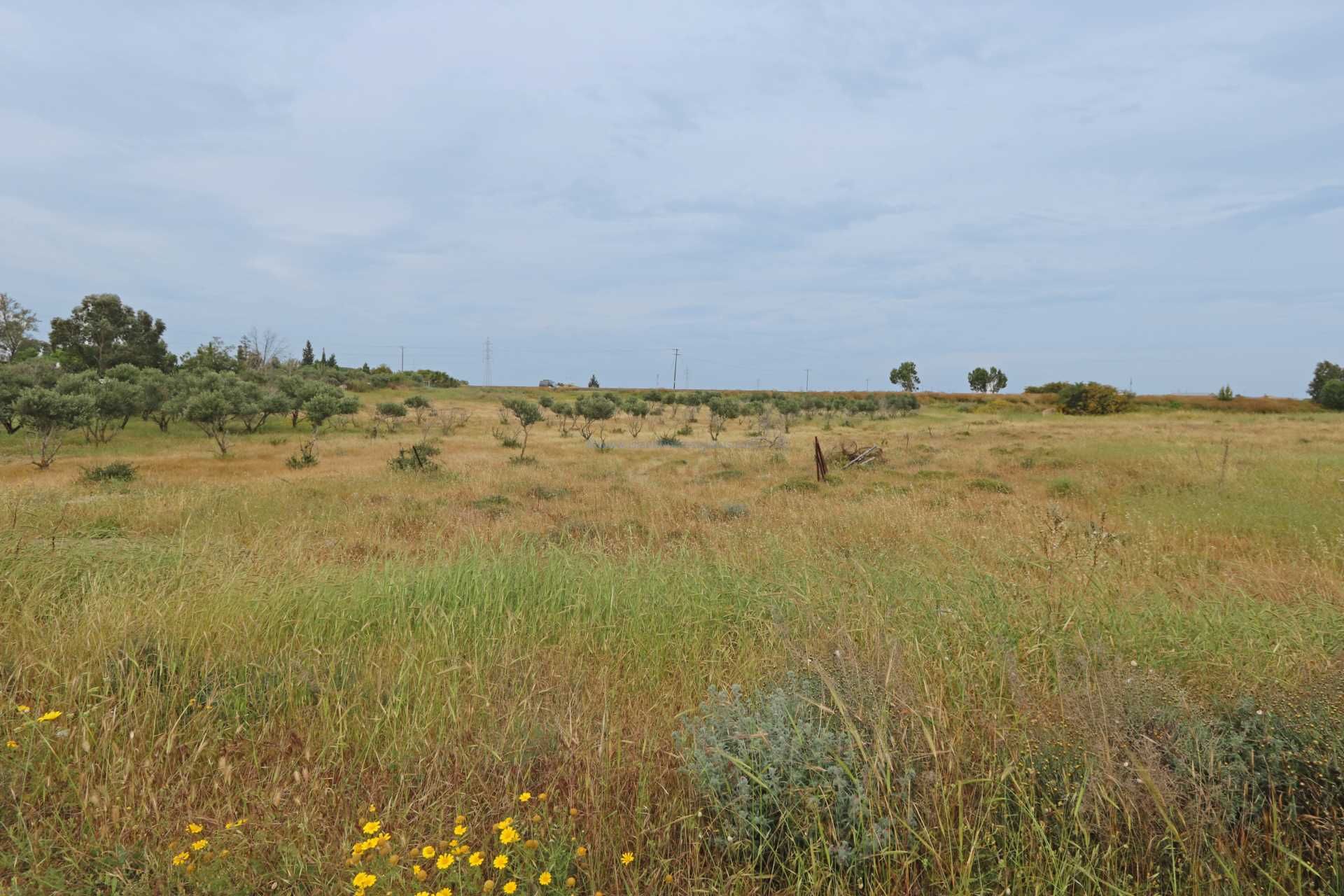 Tanah di Frenaros, Famagusta 12006072