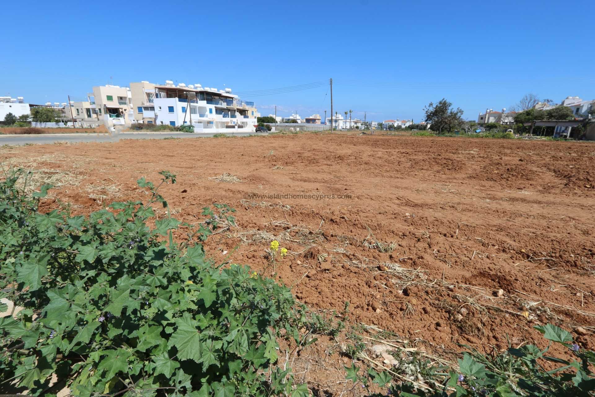 Land in Paralimni, Ammochostos 12006111