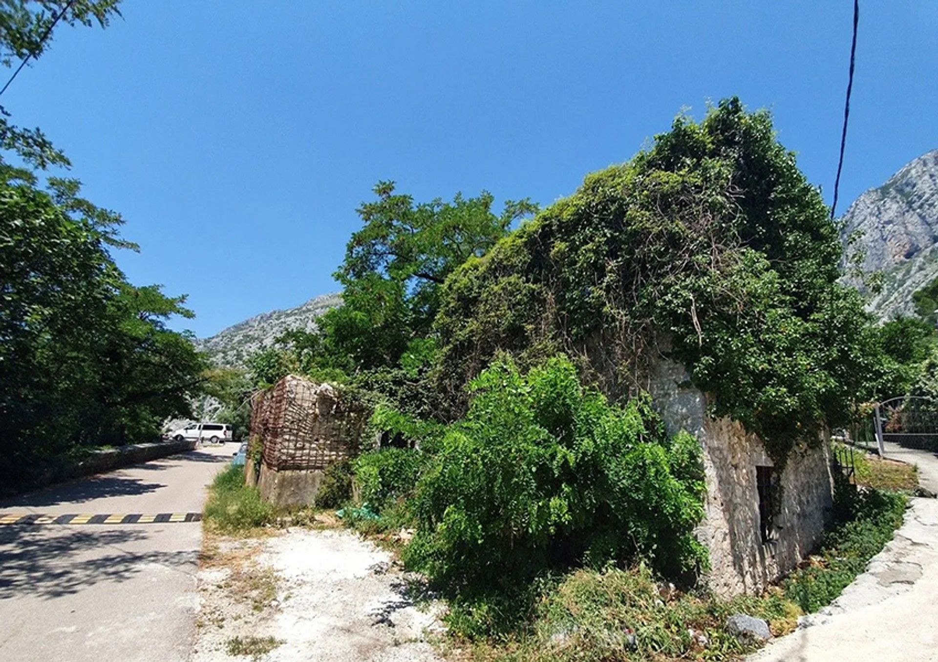 Terra no Kotor, Kotor 12007745