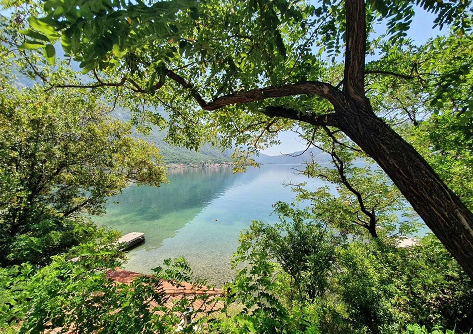 Tanah dalam Kotor, Kotor 12007745