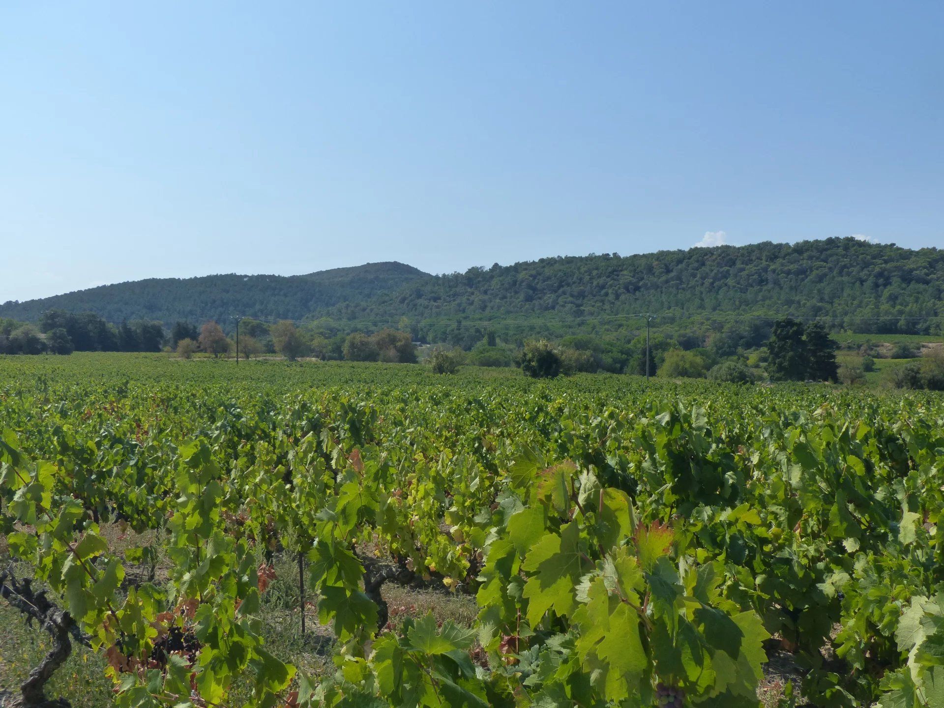 Dom w Bagnols-sur-Ceze, Occitanie 12008053