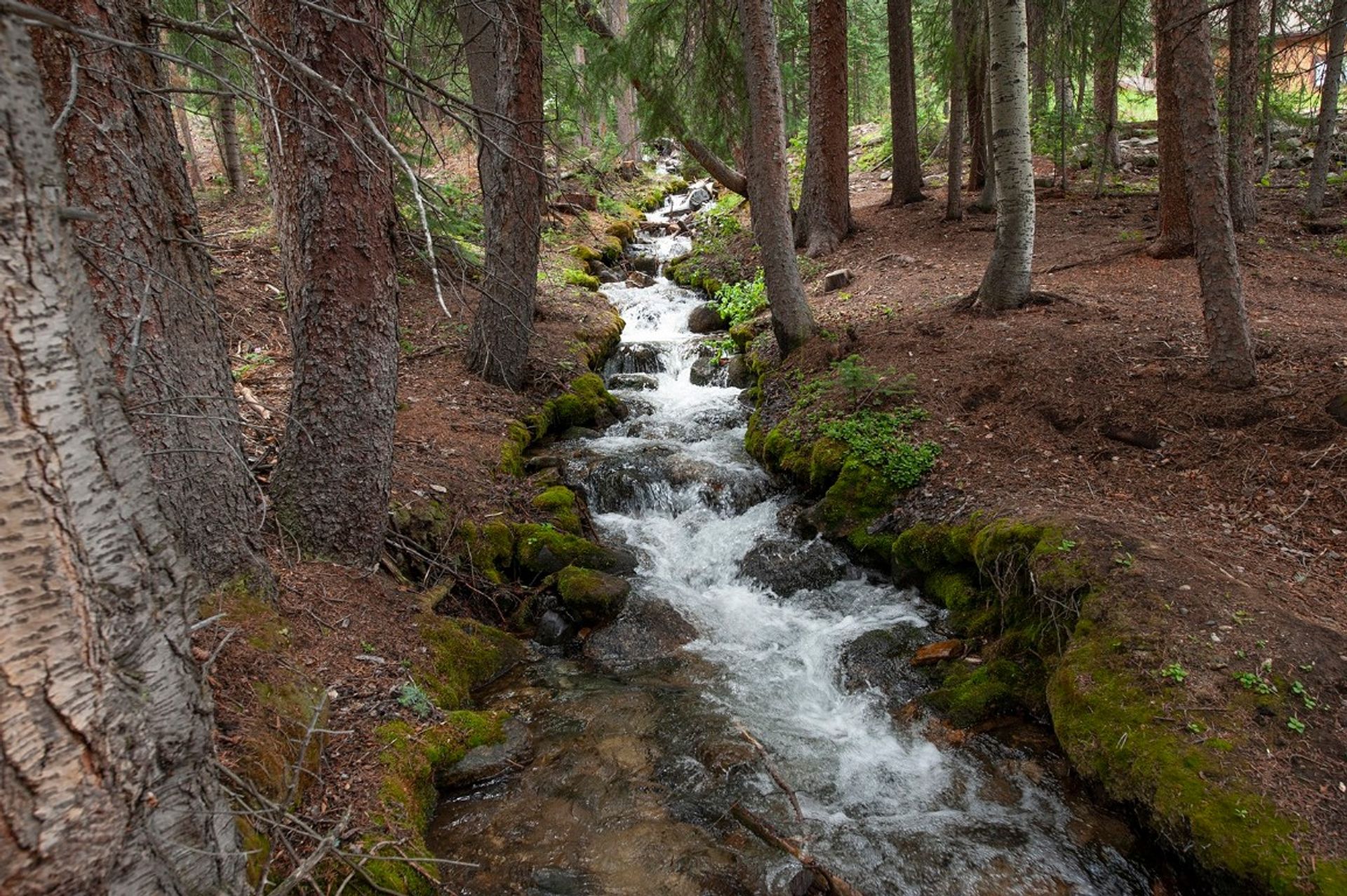 房子 在 Breckenridge, Colorado 12009349