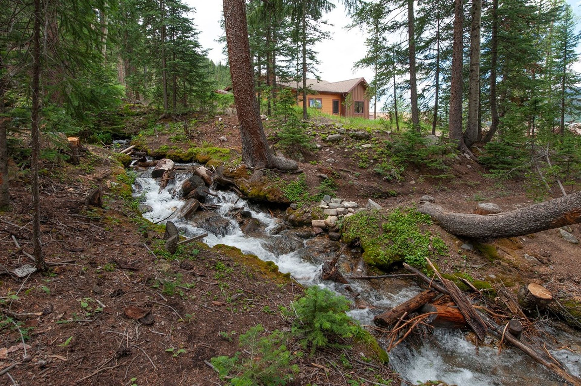 房子 在 Breckenridge, Colorado 12009349