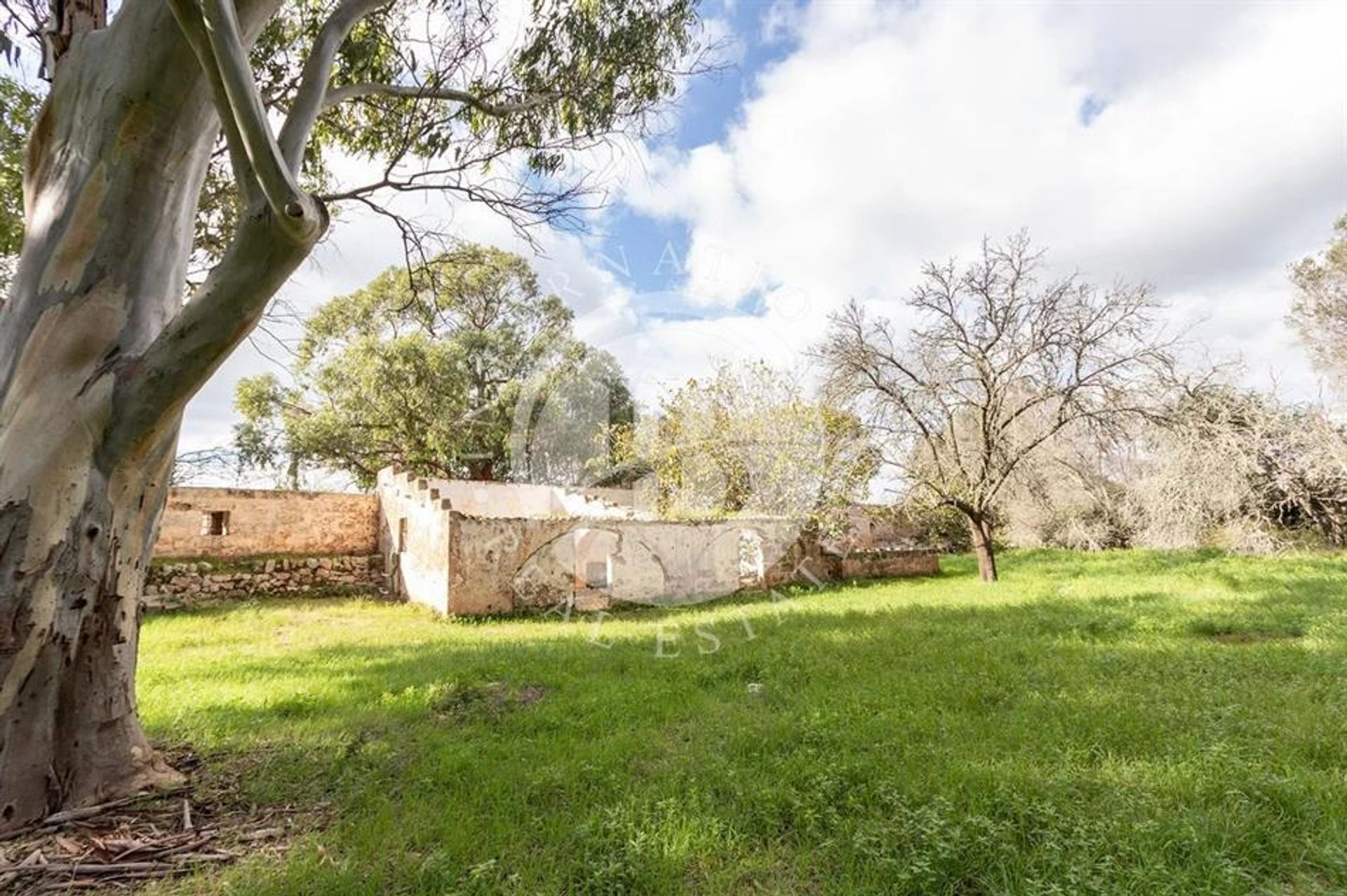 Rumah di Ugento, Puglia 12010152