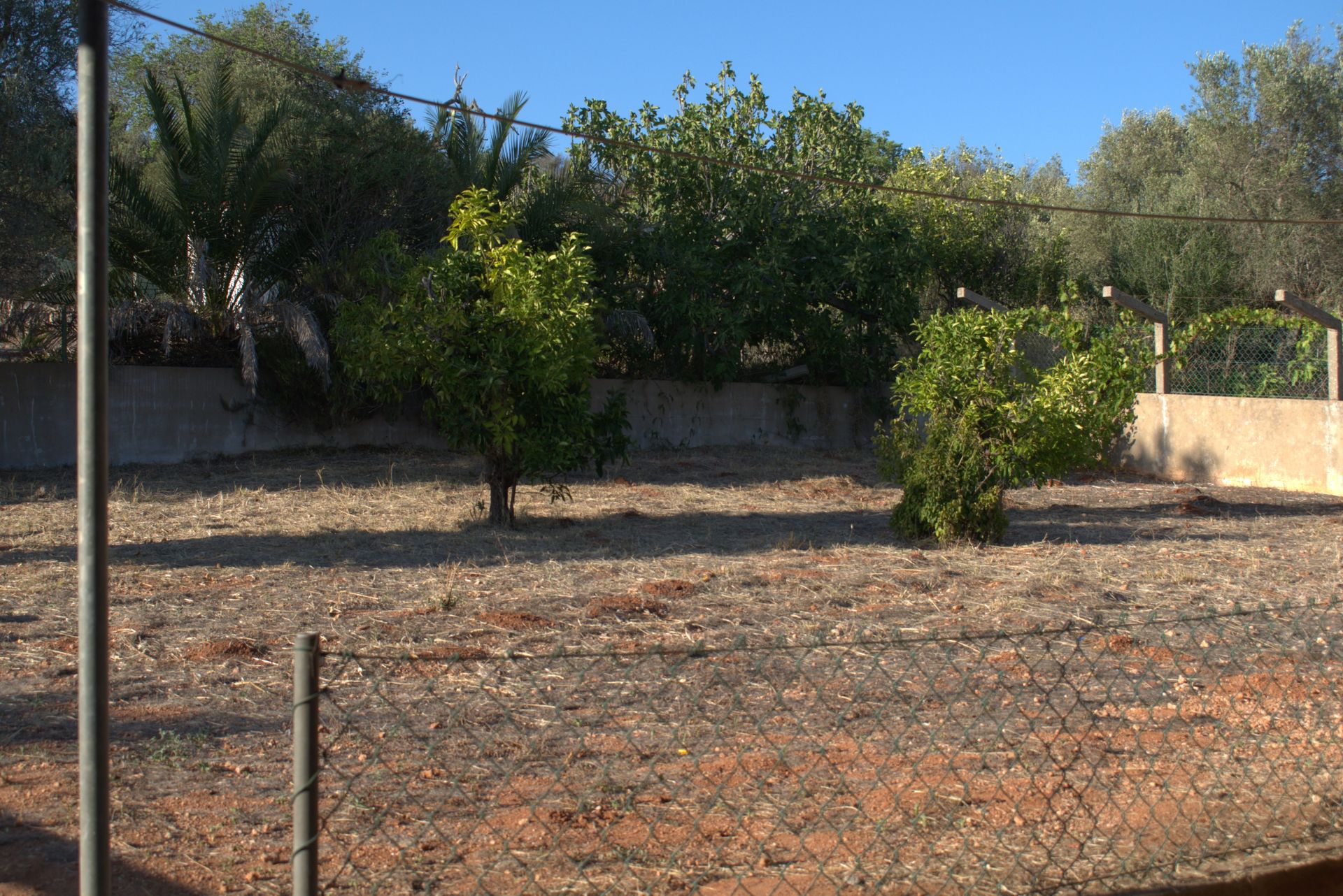 住宅 在 São Bartolomeu de Messines, Faro 12010556