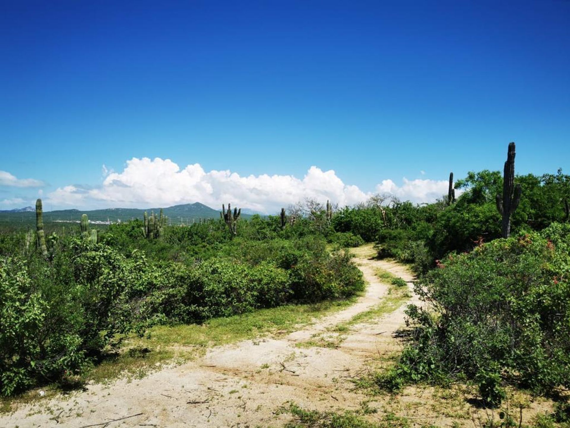 ארץ ב Hanga Roa, ולפראיסו 12010560