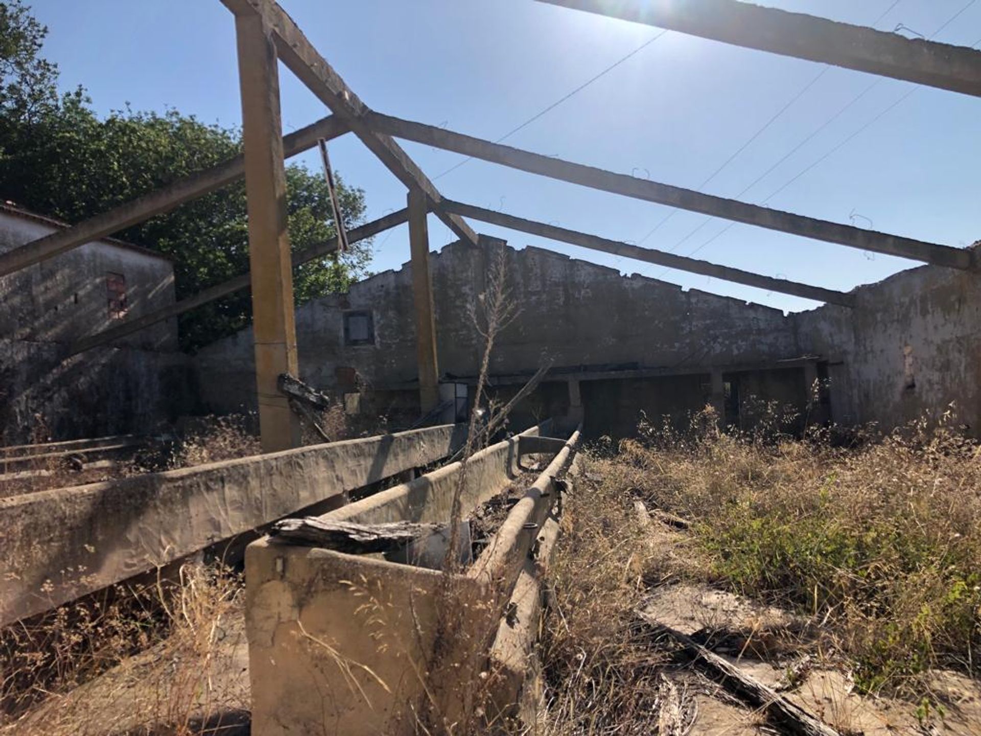 Industrial in São Bartolomeu de Messines, Faro 12010564