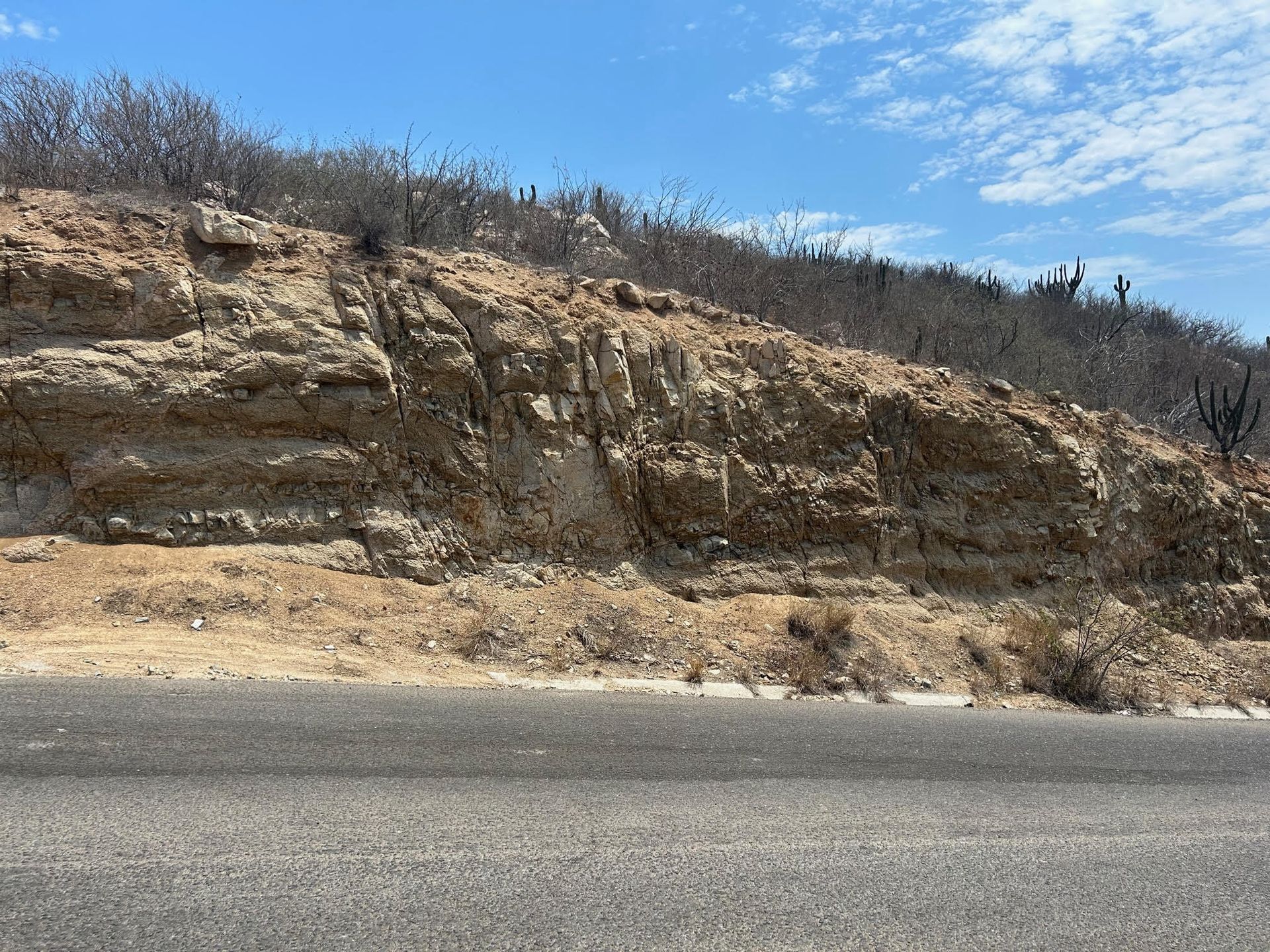 土地 在 Cabo San Lucas, Baja California Sur 12010654