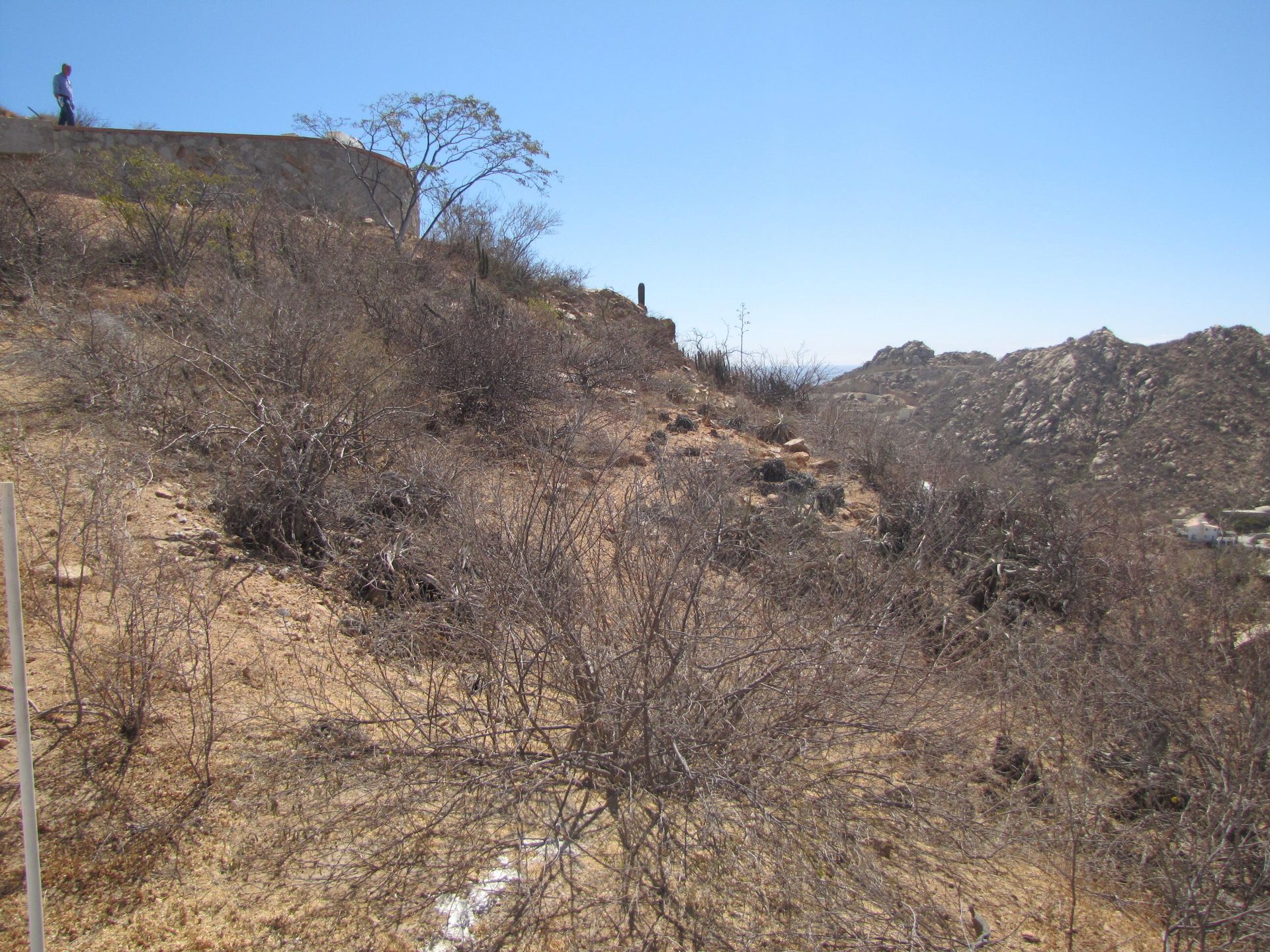 ארץ ב Cabo San Lucas, Baja California Sur 12010657