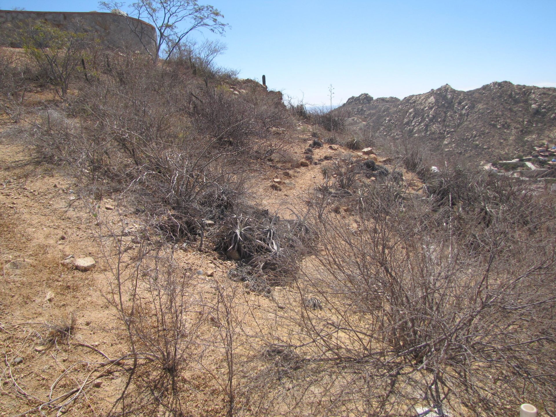 土地 在 Cabo San Lucas, Baja California Sur 12010657