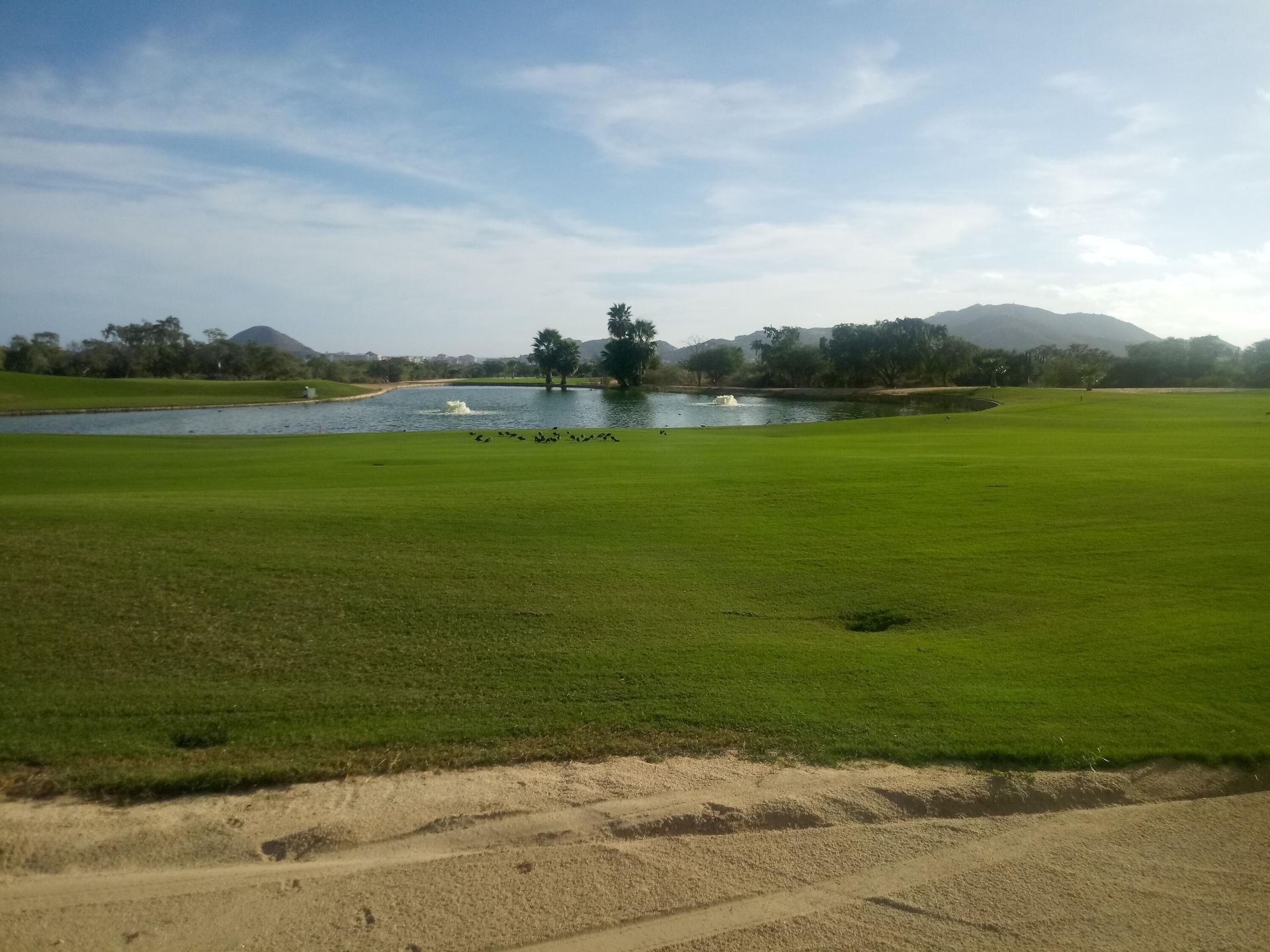 Tanah dalam Cabo San Lucas, Boulevard Paseo de la Marina 12010661