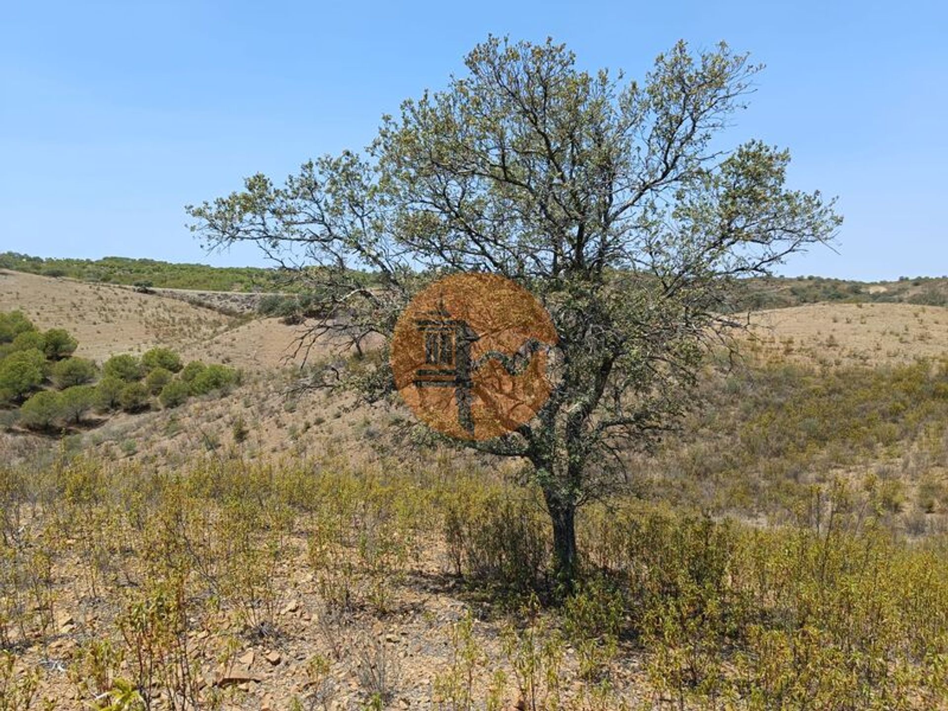 Γη σε Azinhal, Φαραώ 12010701