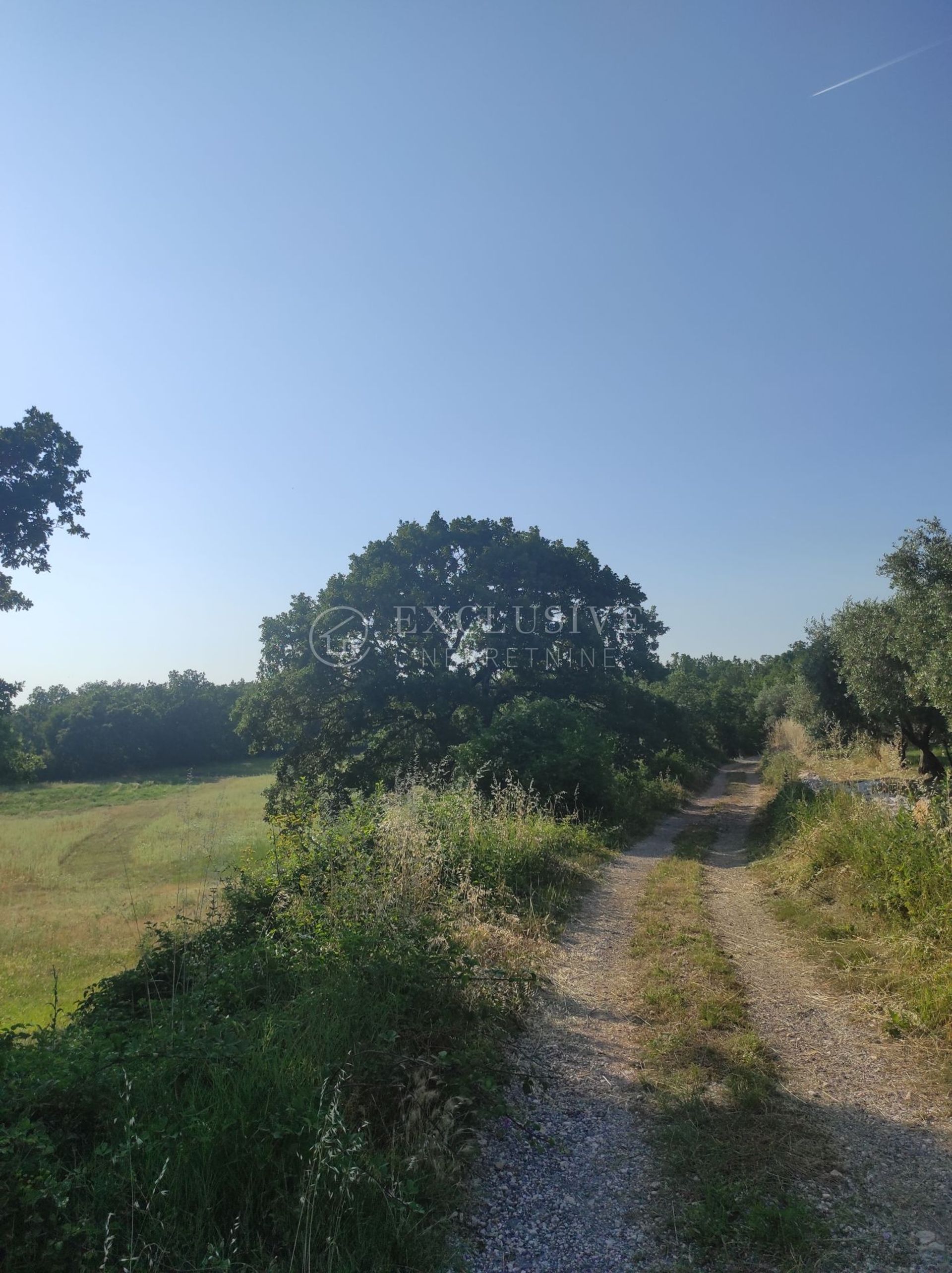 Land in Kanfanar, Istarska Zupanija 12010876