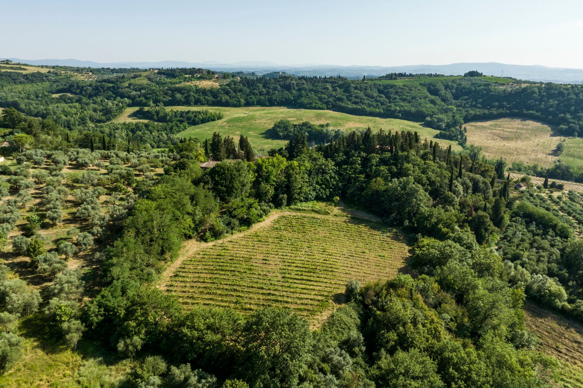 קוֹנדוֹמִינִיוֹן ב , Tuscany 12012408