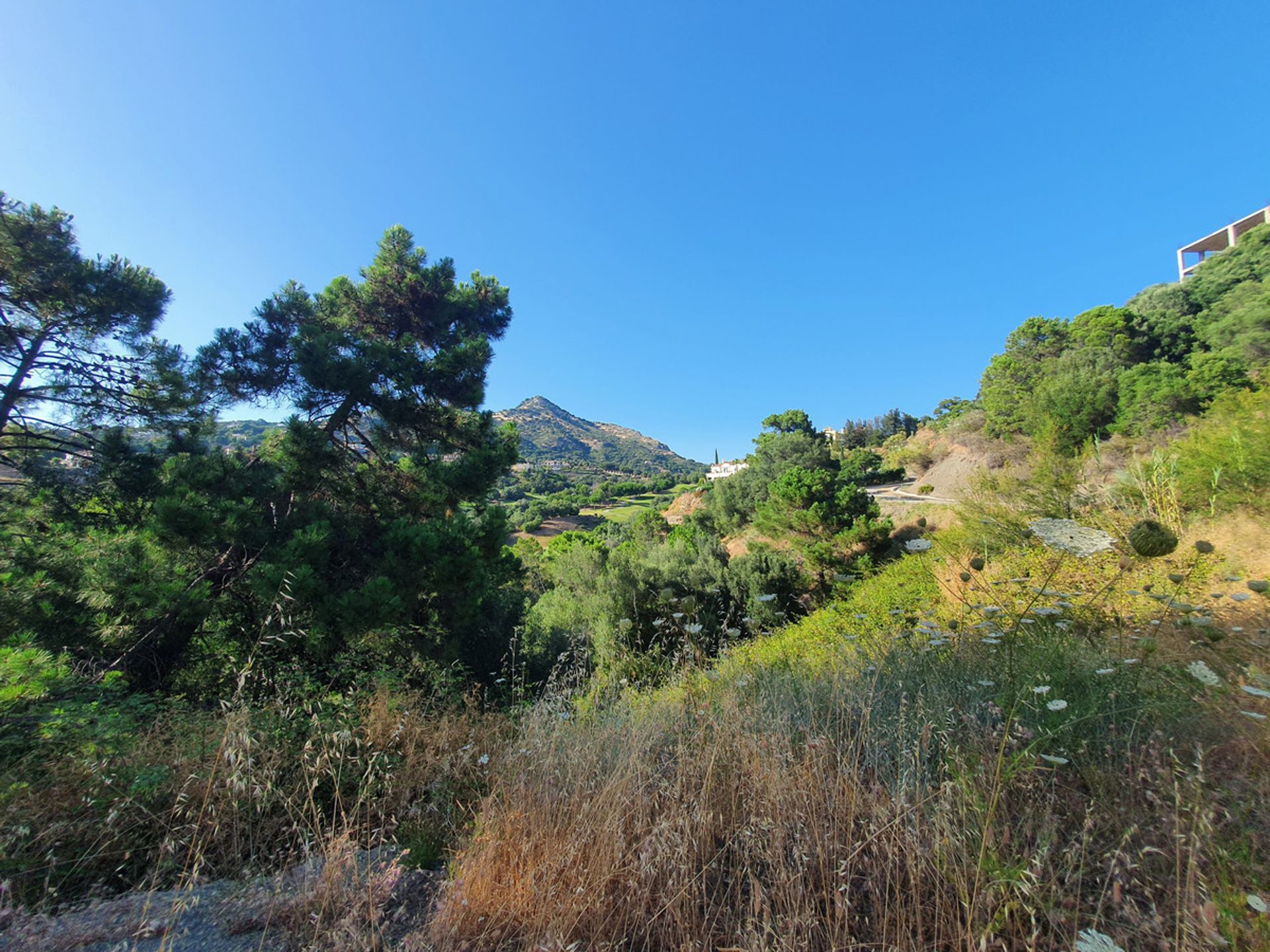 Tierra en Benahavís, Andalucía 12012711