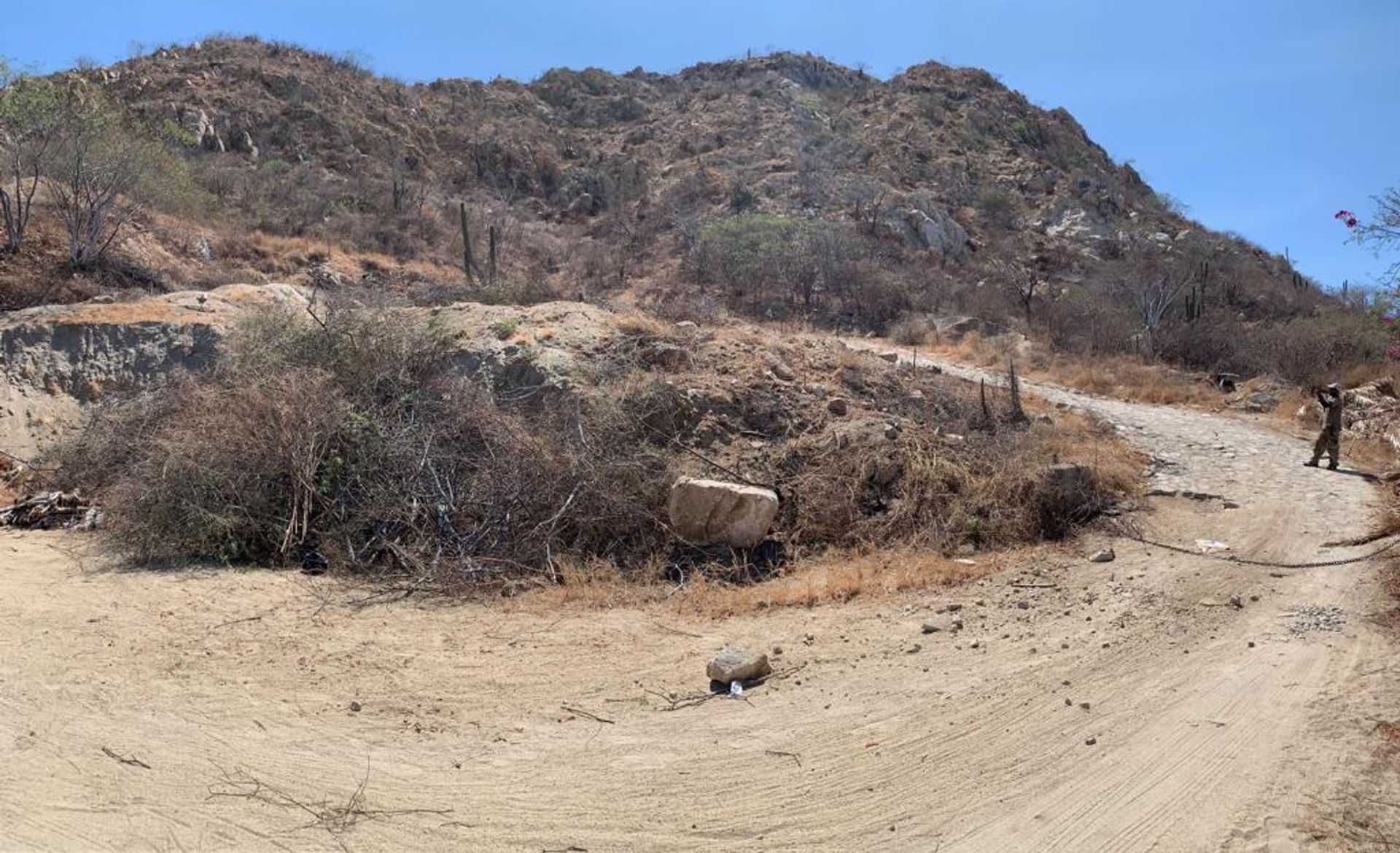 Tanah dalam Cabo San Lucas, Baja California Sur 12015528