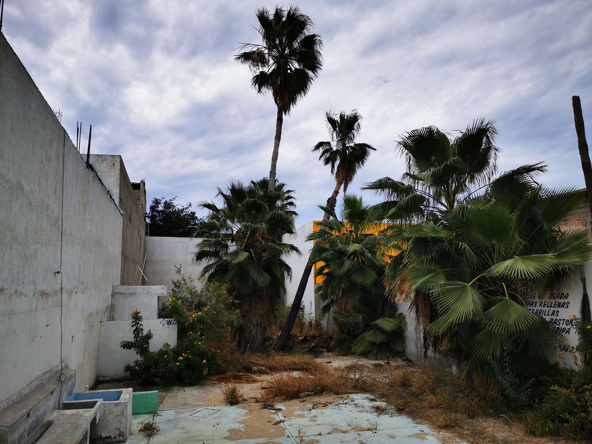 土地 在 Cabo San Lucas, Baja California Sur 12015533