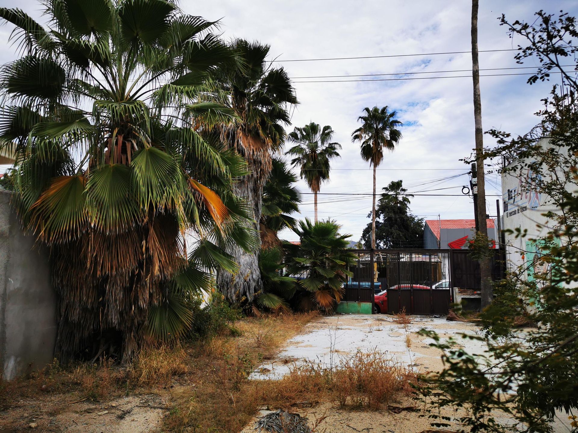 Tierra en Cabo San Lucas, Baja California Sur 12015533