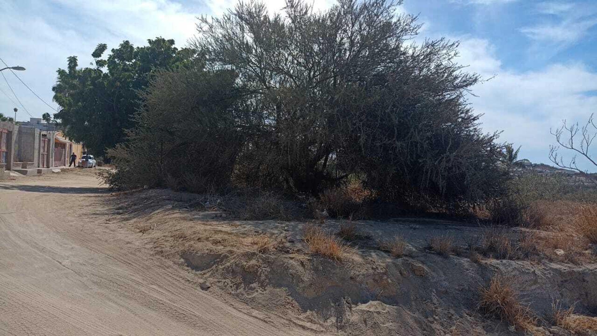 土地 在 Cabo San Lucas, Baja California Sur 12015537