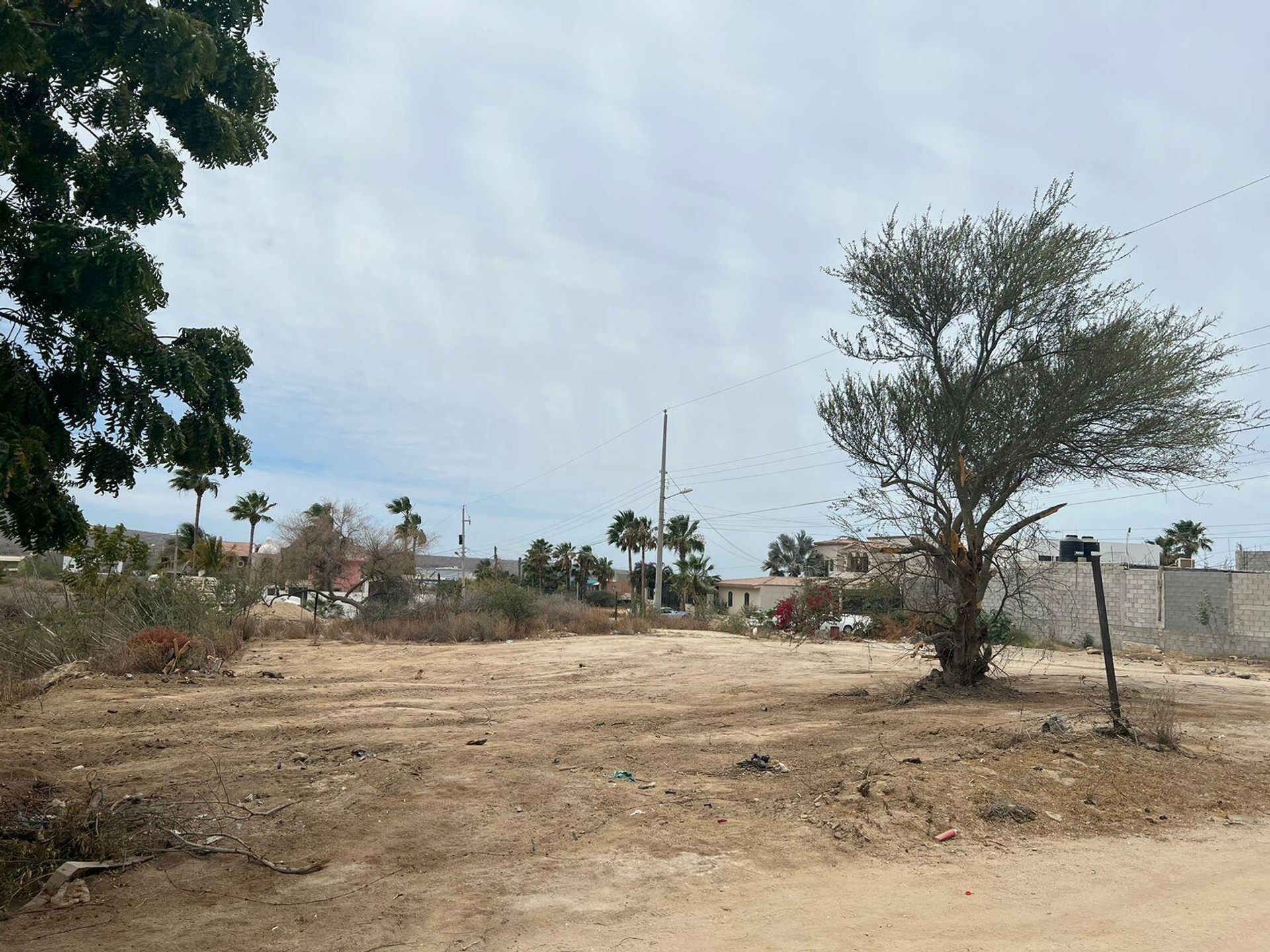 Land in Cabo San Lucas, Baja California Sur 12015537