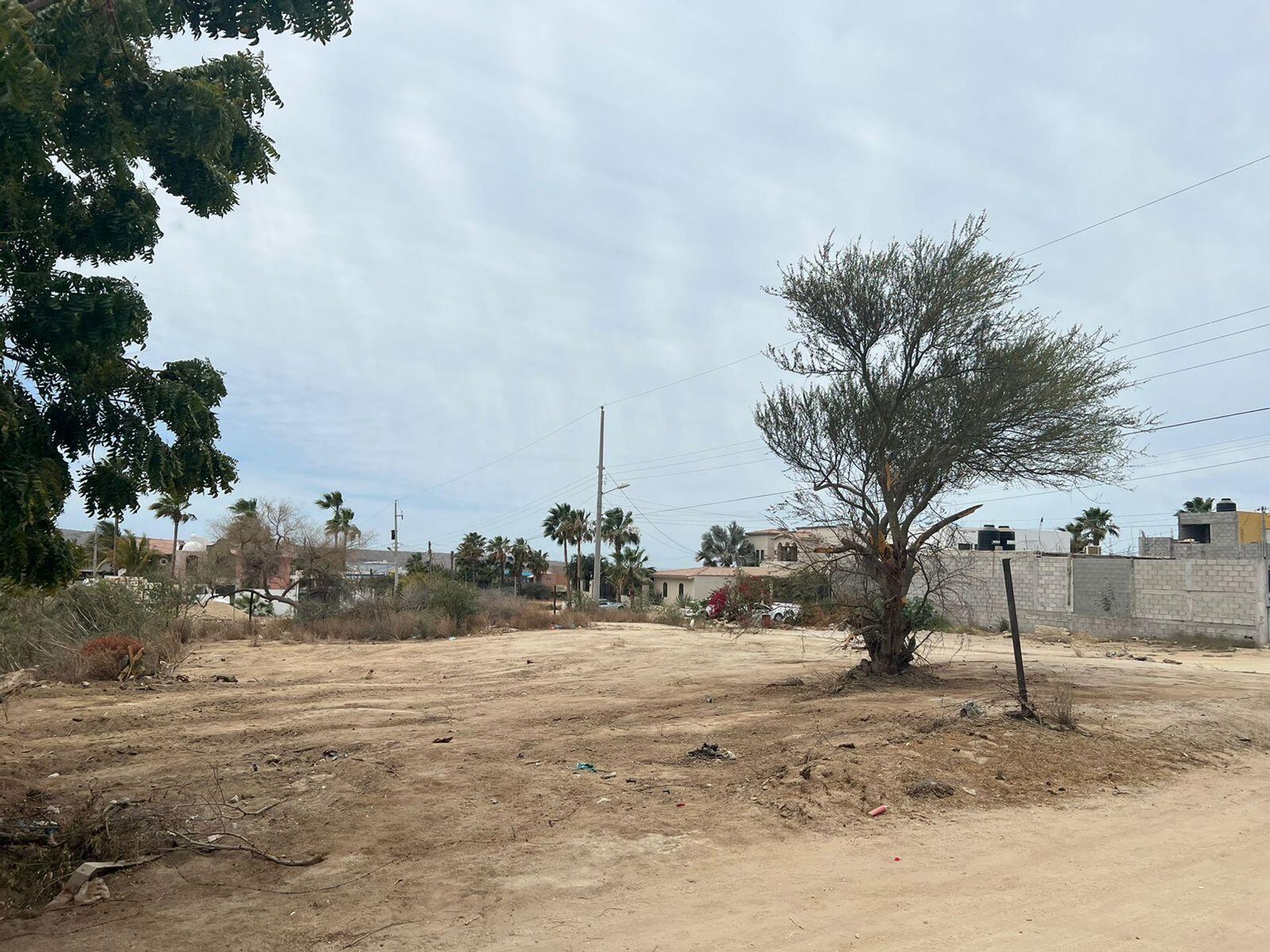 Tanah dalam Cabo San Lucas, Baja California Sur 12015537