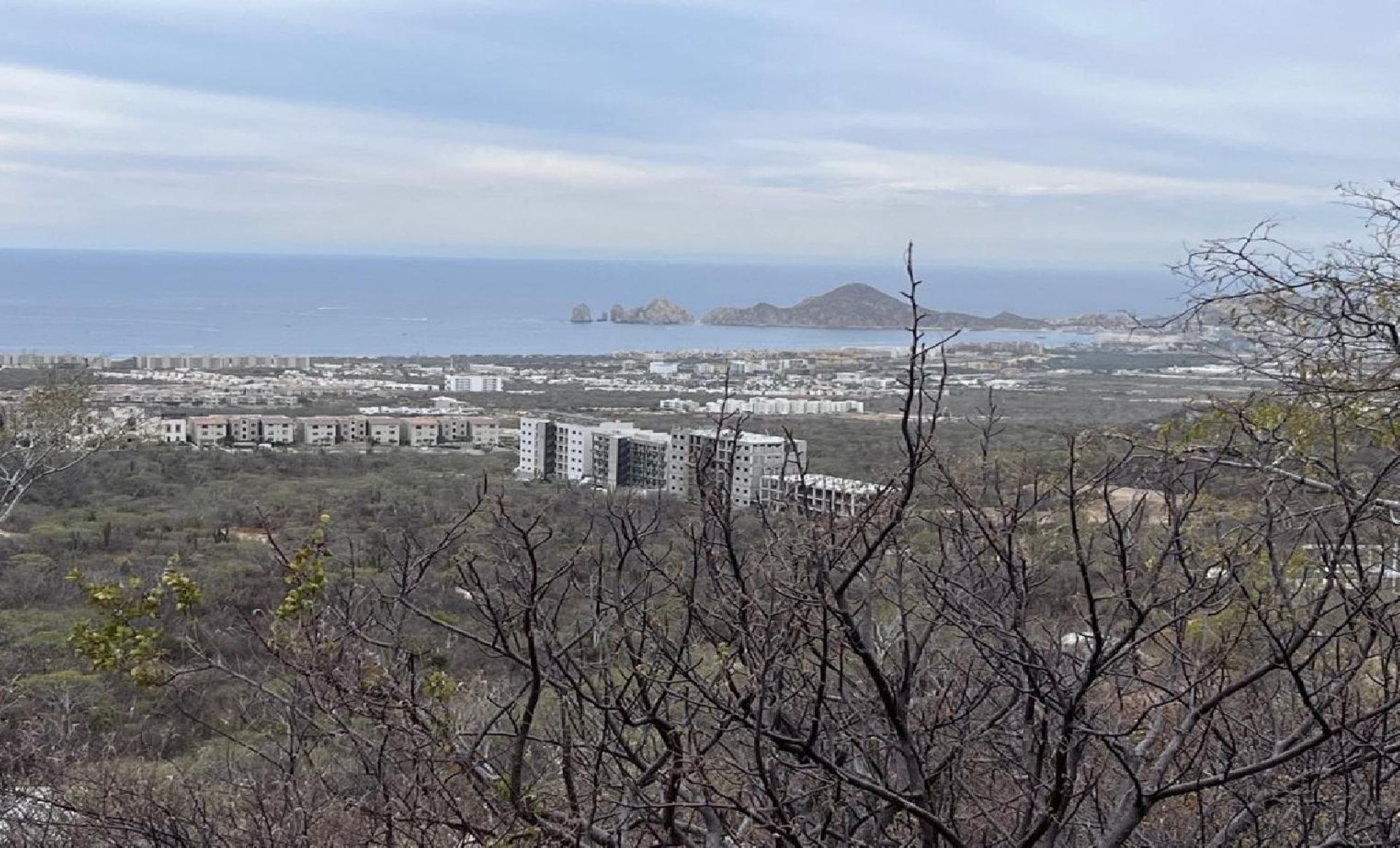 Tanah dalam Cabo San Lucas, Boulevard Paseo de la Marina 12015543