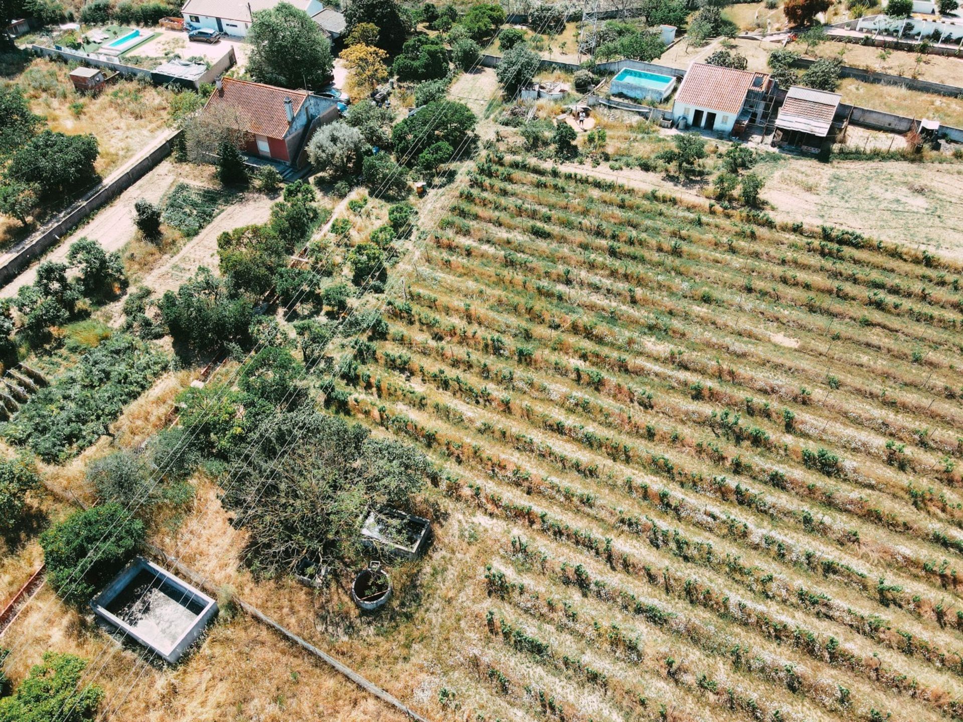 Outro no Quinta do Anjo, Setubal 12015613