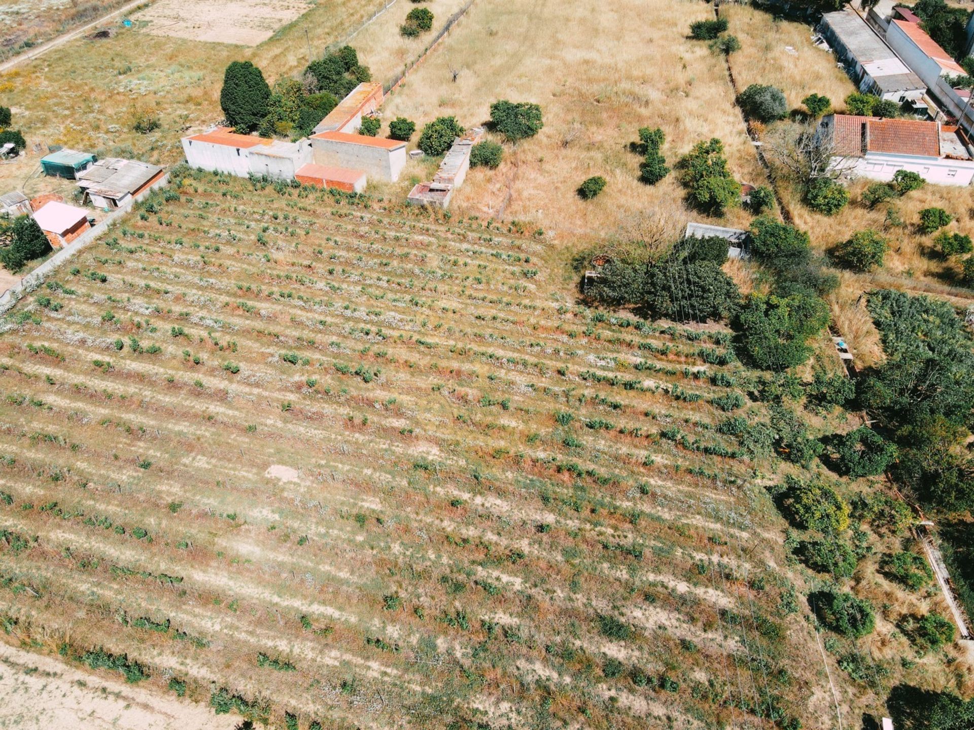 Andet i Quinta do Anjo, Setubal 12015613