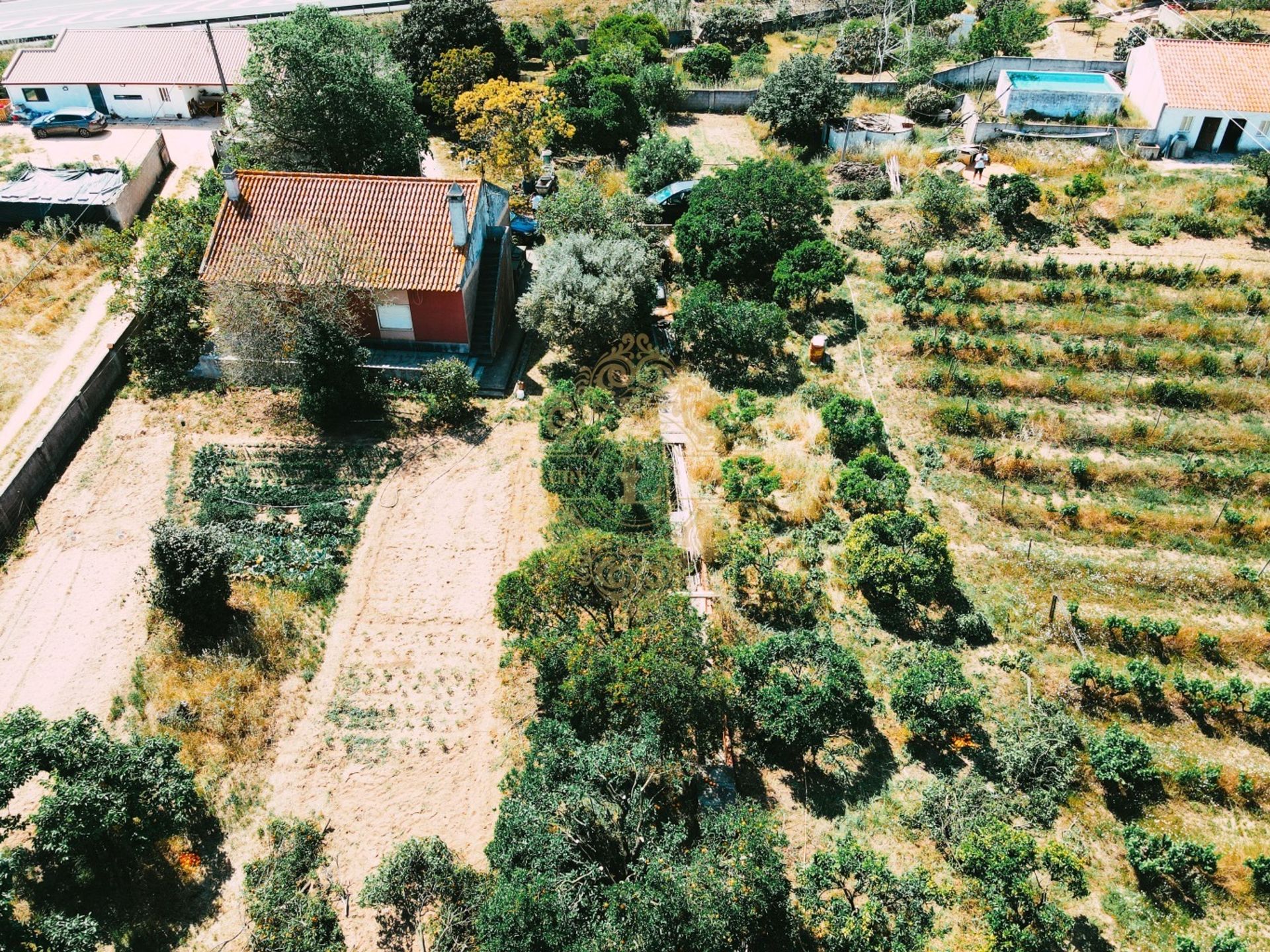 Outro no Quinta do Anjo, Setubal 12015613