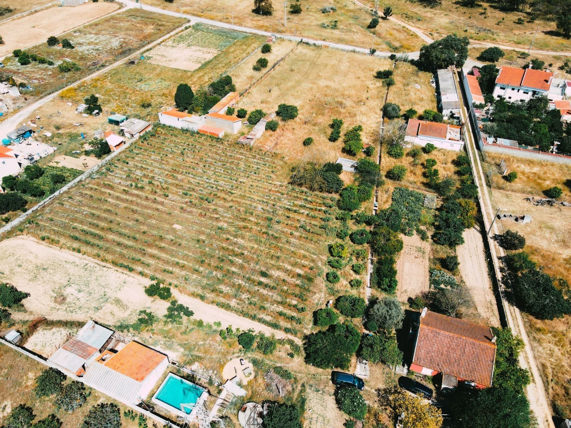 Outro no Quinta do Anjo, Setubal 12015613