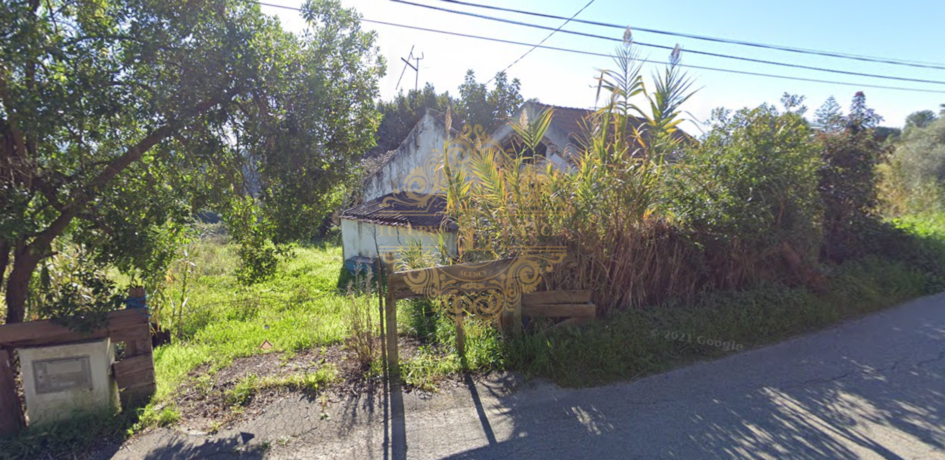 Tierra en Cotovia, Setúbal 12015616