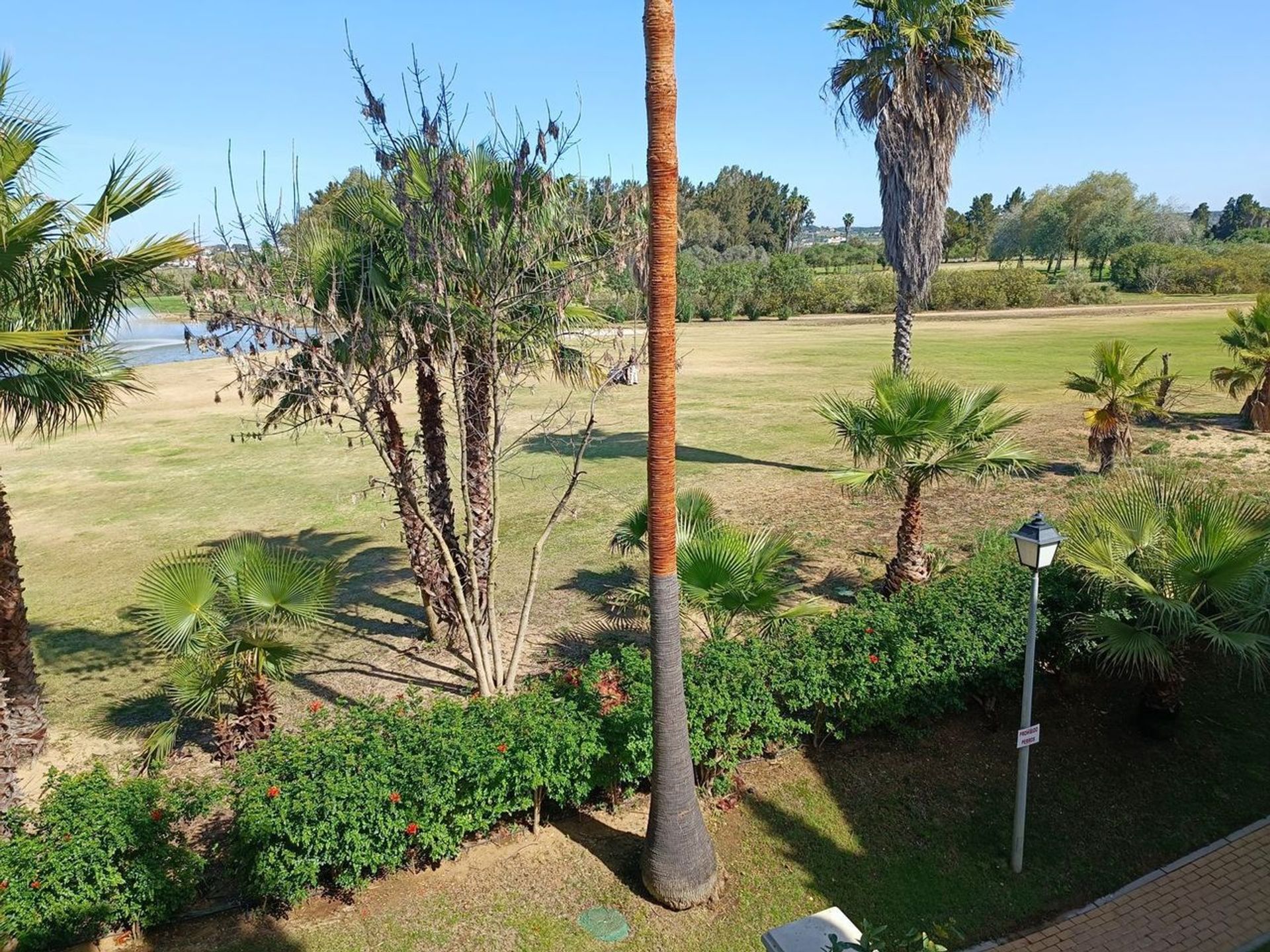 Condominium in Isla de Canela, Andalusië 12019420