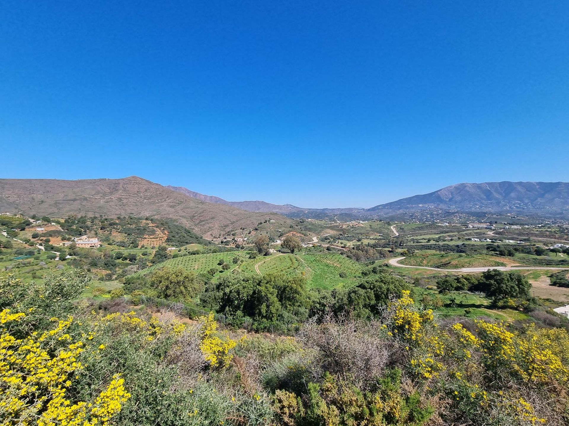 Terre dans , Andalucía 12020567