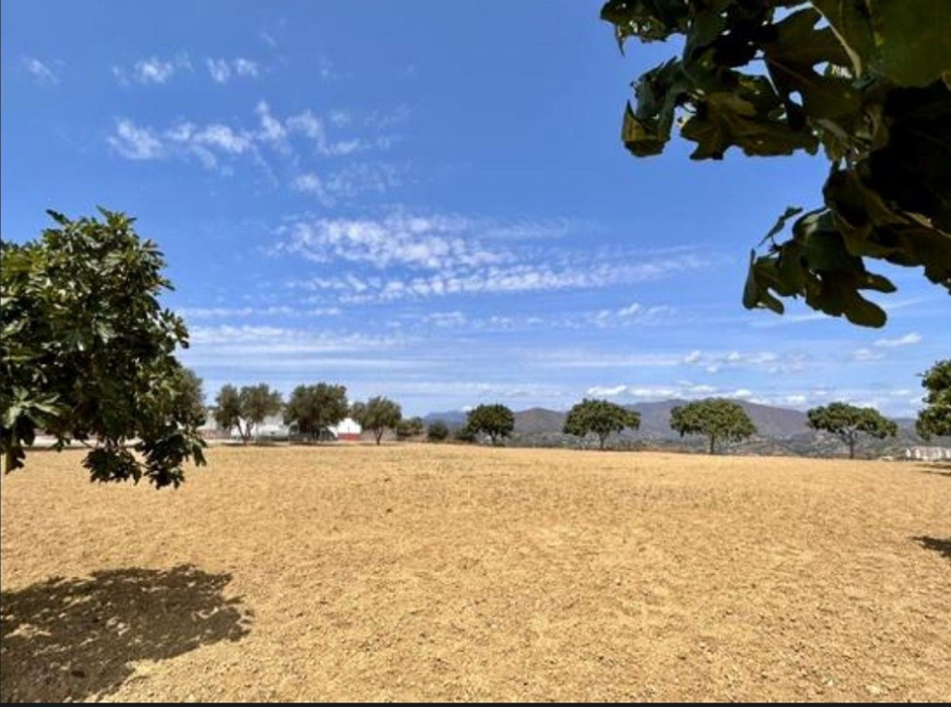 Tanah dalam Mijas, Andalusia 12020866