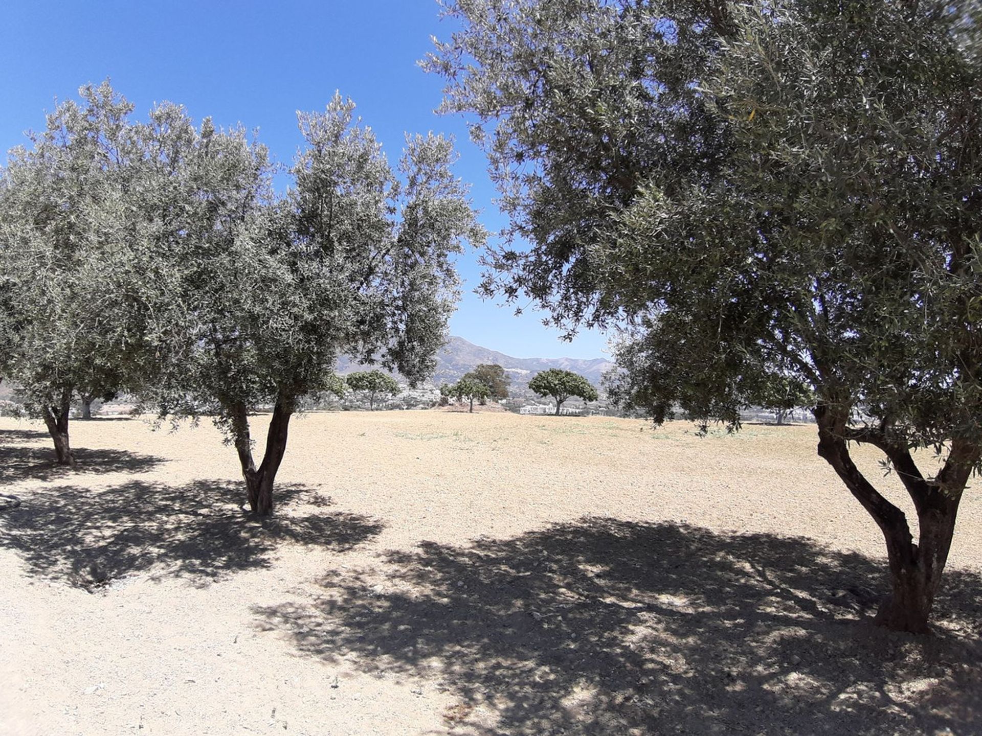 Tanah dalam Mijas, Andalucía 12020866