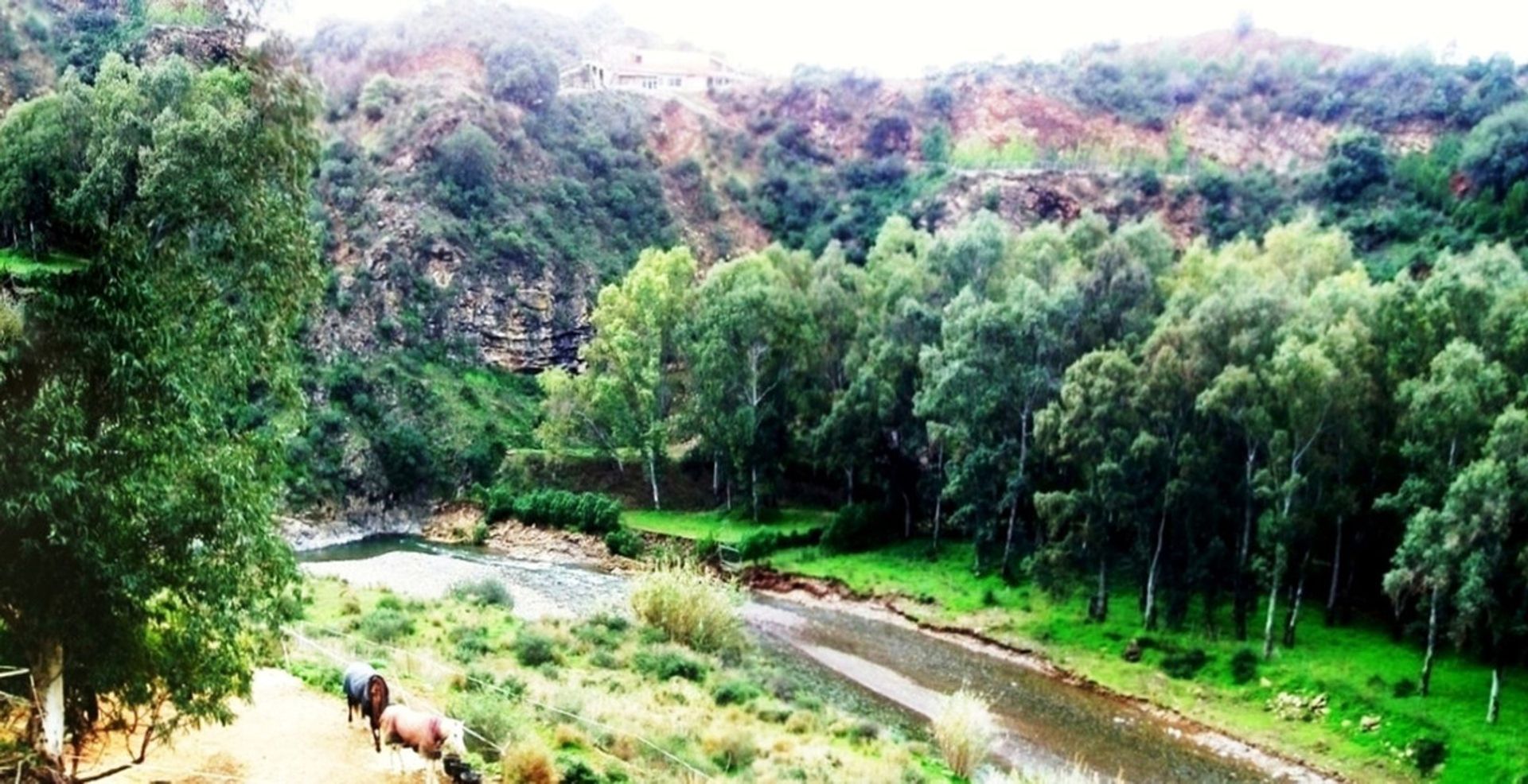 الأرض في Villanueva de la Serena, Extremadura 12020937