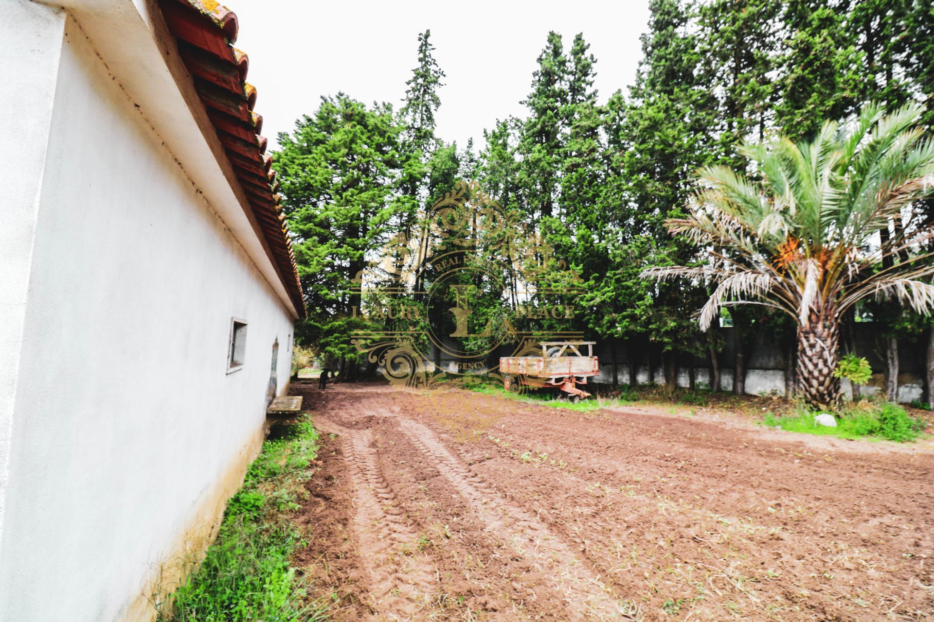 Muu sisään Vila Nogueira de Azeitao, Setubal 12022053