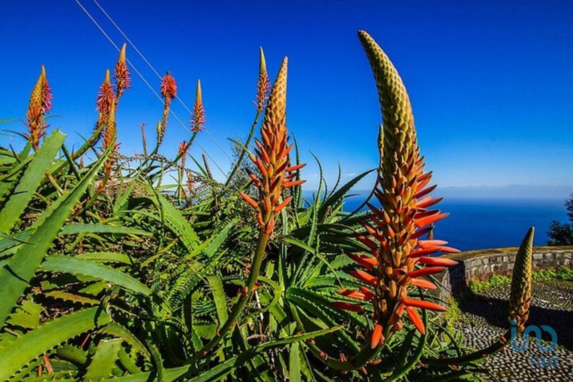 casa en Funchal, Madeira 12022390