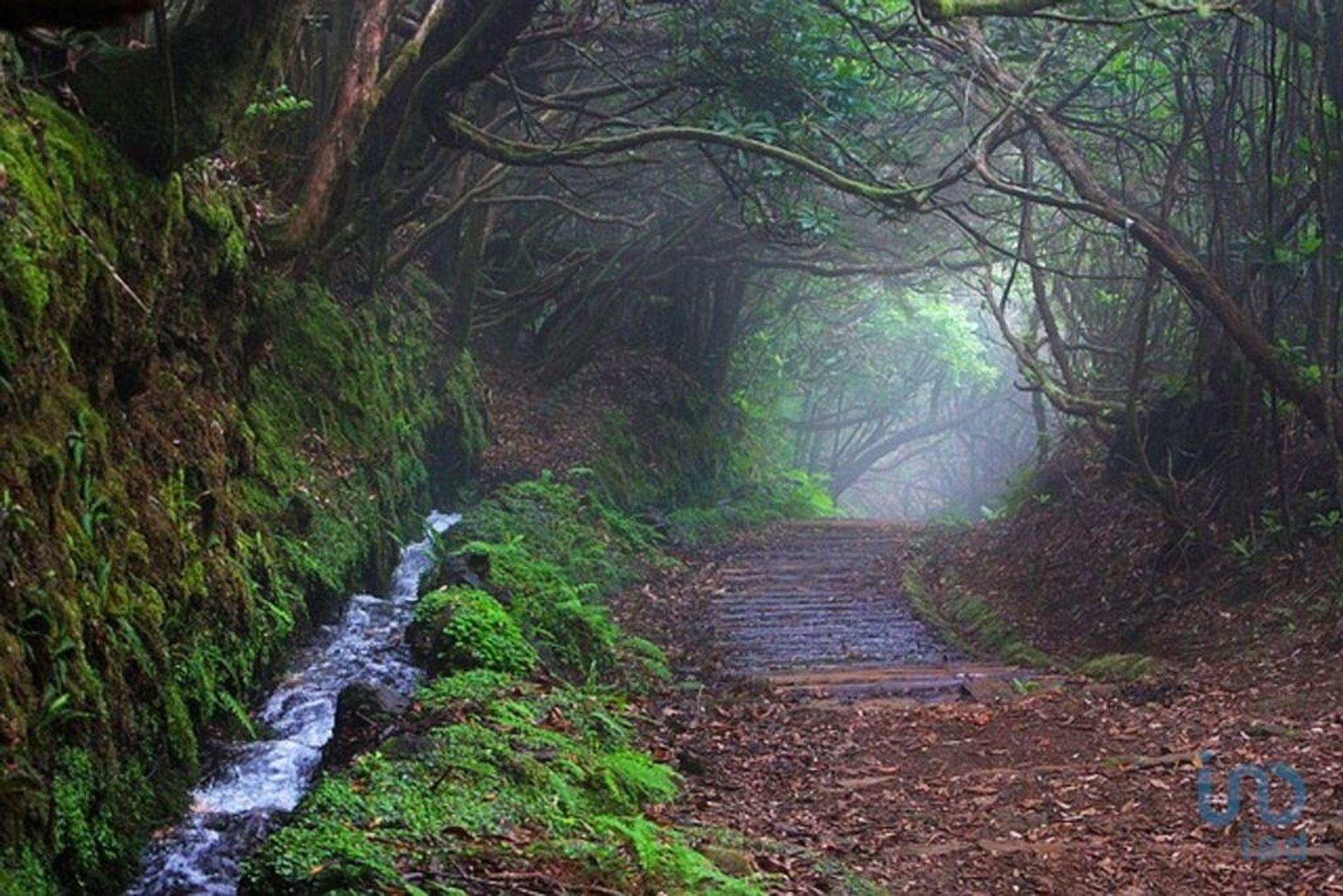 σπίτι σε Arco Da Calheta, Madeira 12022395