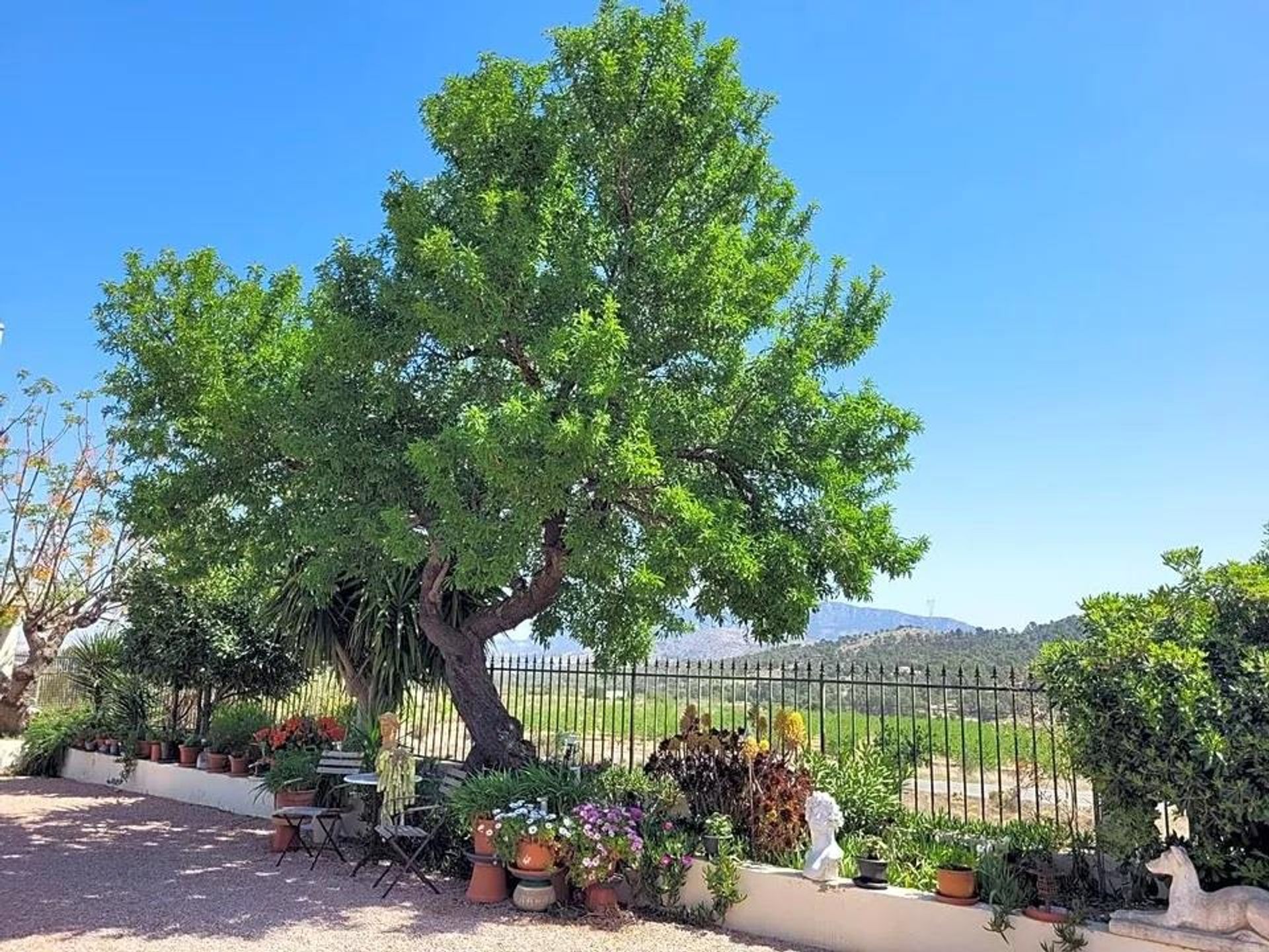 Condominium in El Fondó de les Neus, Valencian Community 12022919