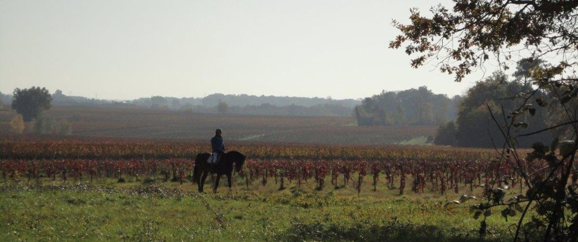 بيت في Saint-Martin-Lacaussade, Nouvelle-Aquitaine 12023695