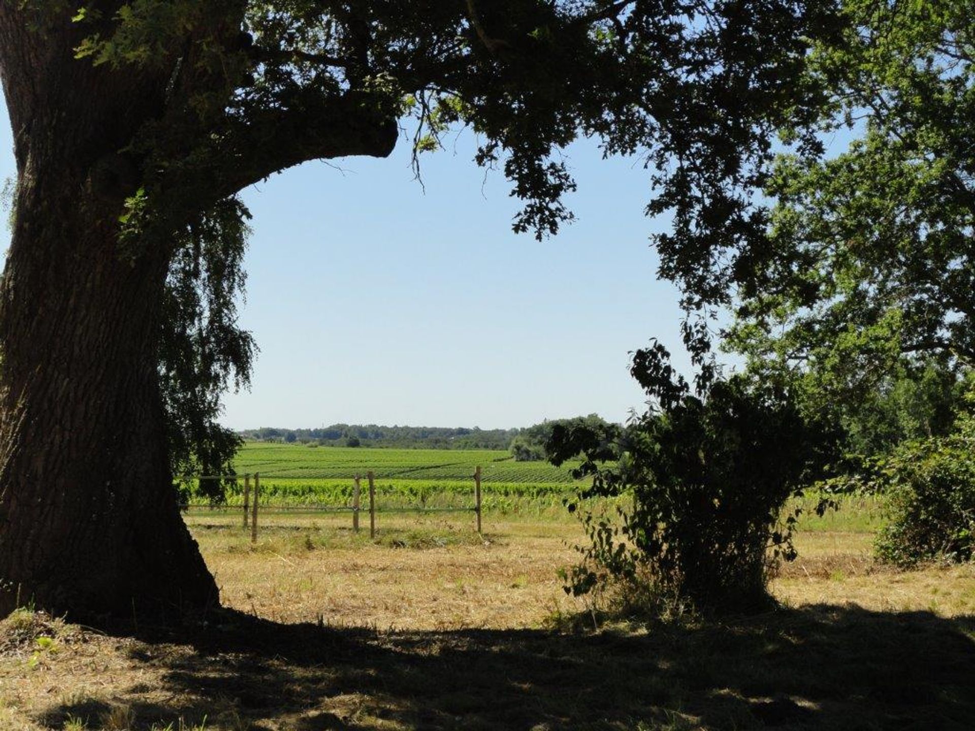 집 에 Saint-Martin-Lacaussade, Nouvelle-Aquitaine 12023695