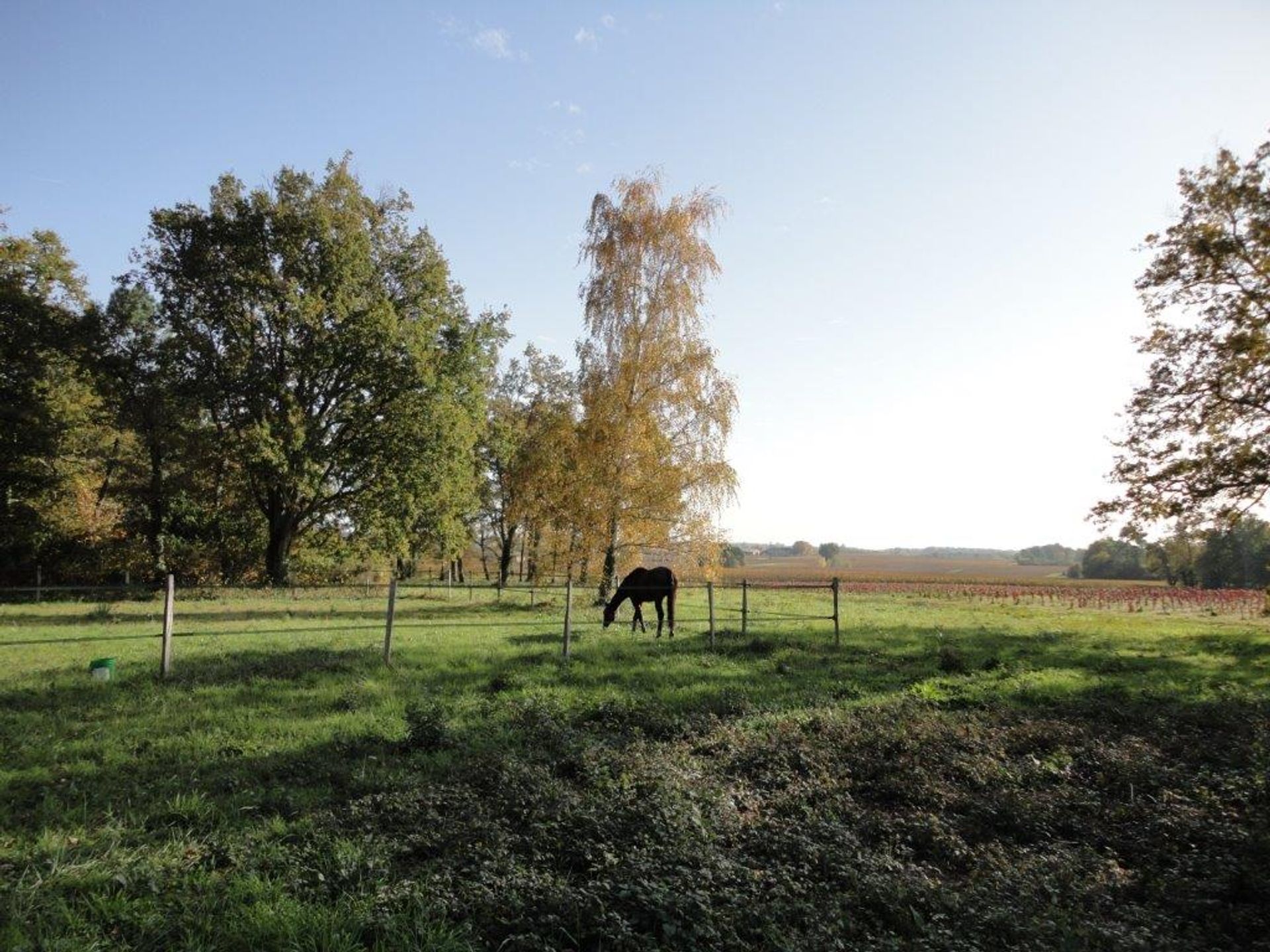 rumah dalam Saint-Martin-Lacaussade, Nouvelle-Aquitaine 12023695