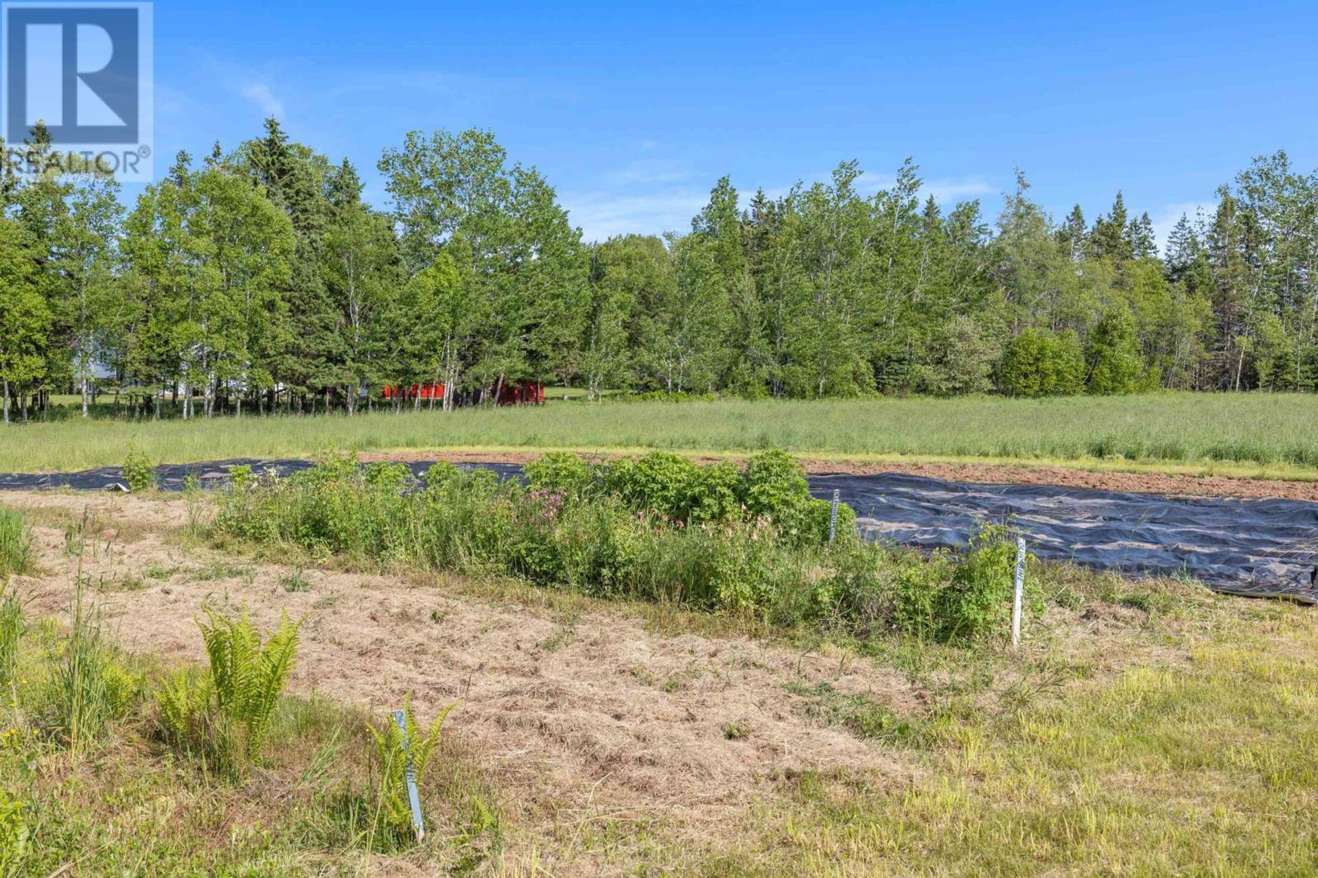 Land in Montague, Prince Edward Island 12024123